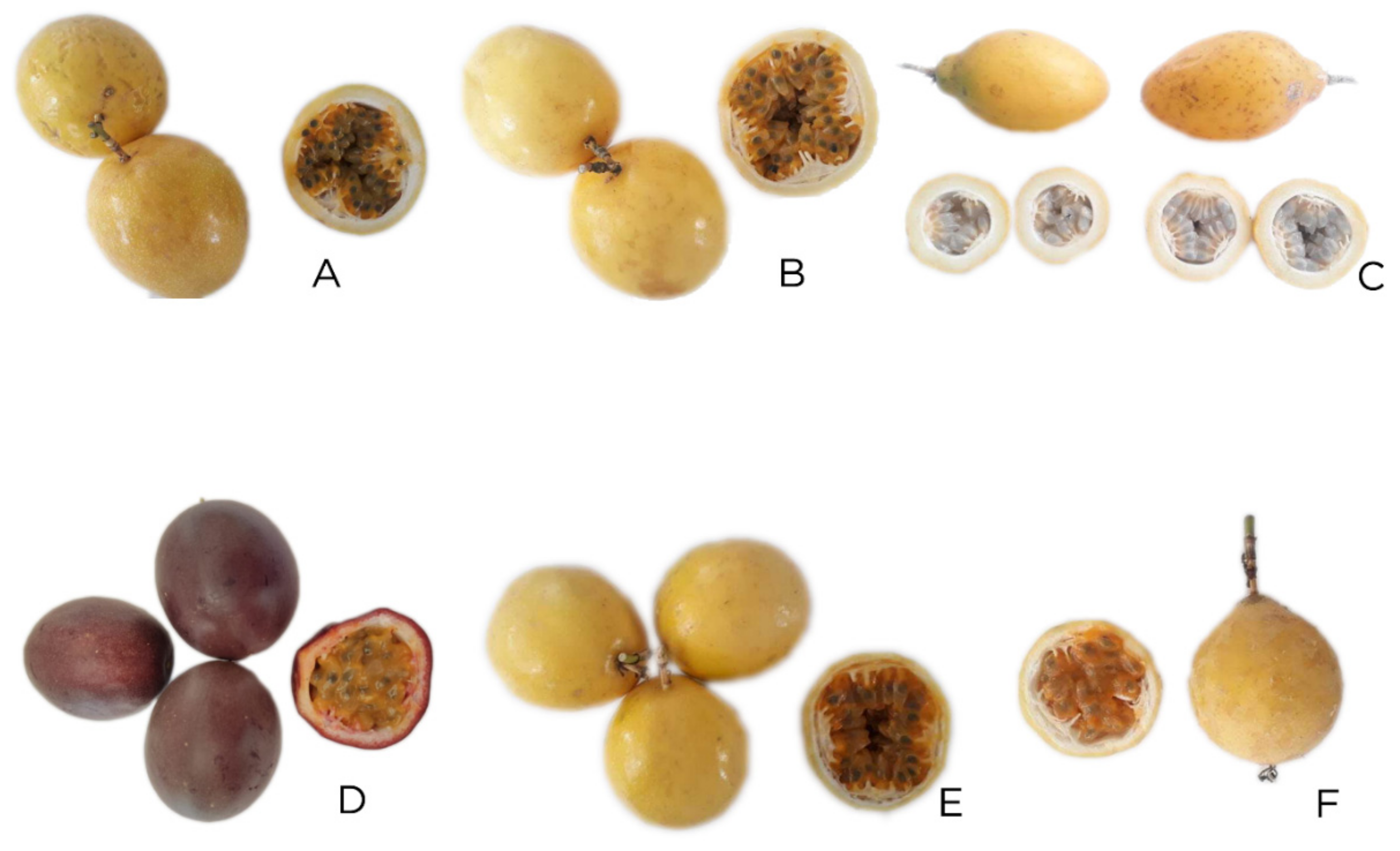 Plants | Free Full-Text | Pulp Mineral Content of Passion Fruit ...