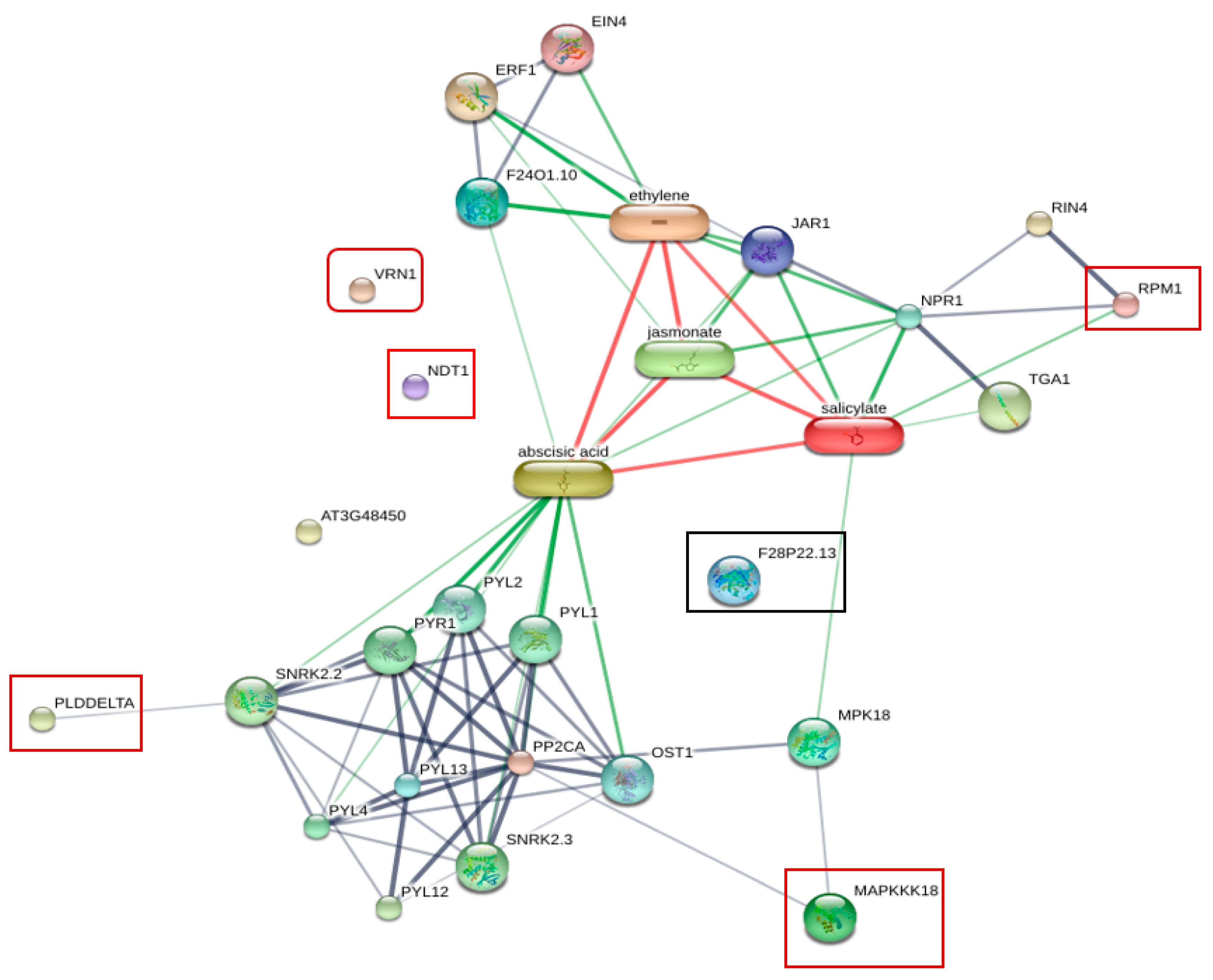 Plants 11 00726 g005