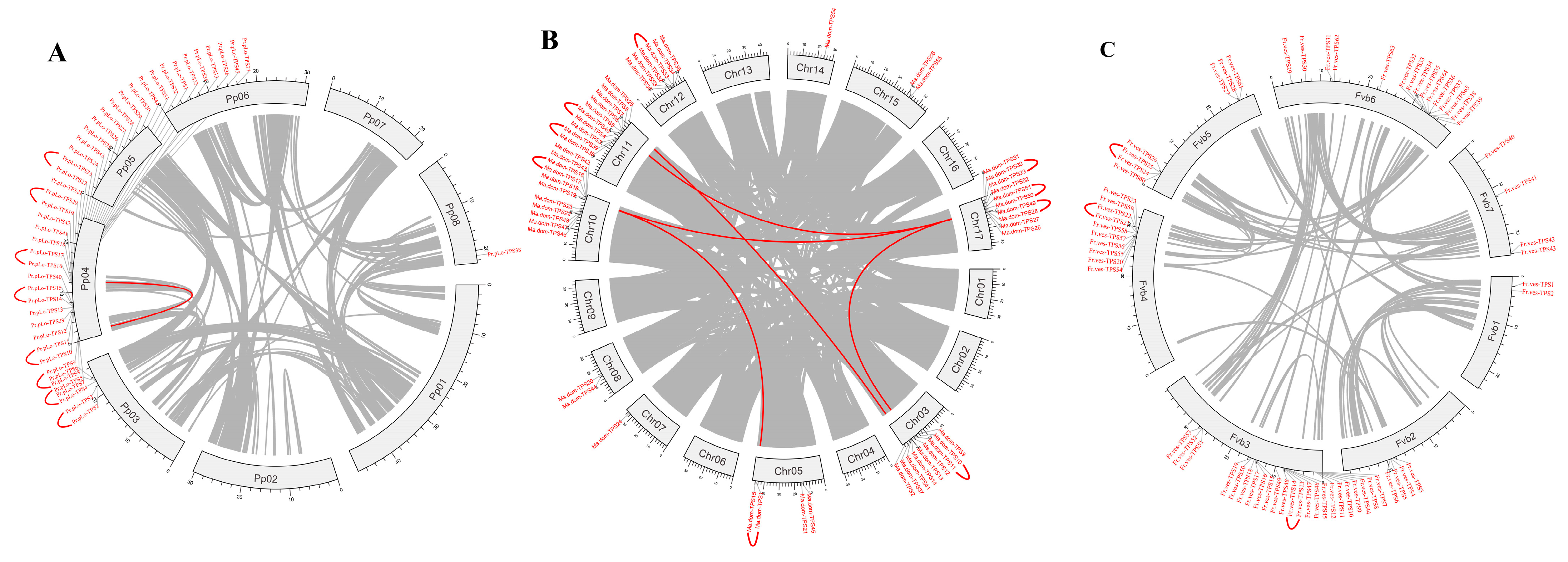 Plants 11 00736 g004