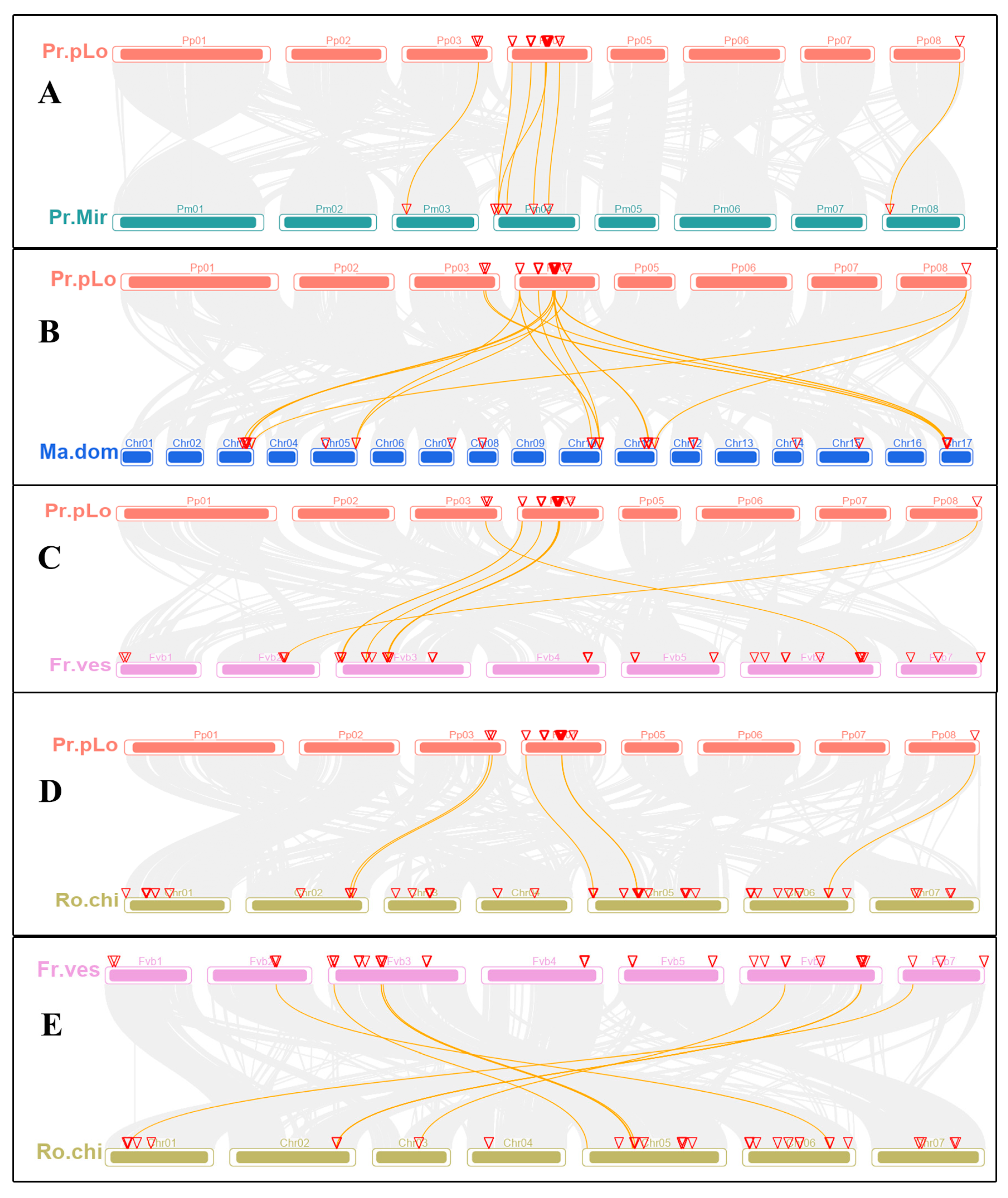 Plants 11 00736 g005