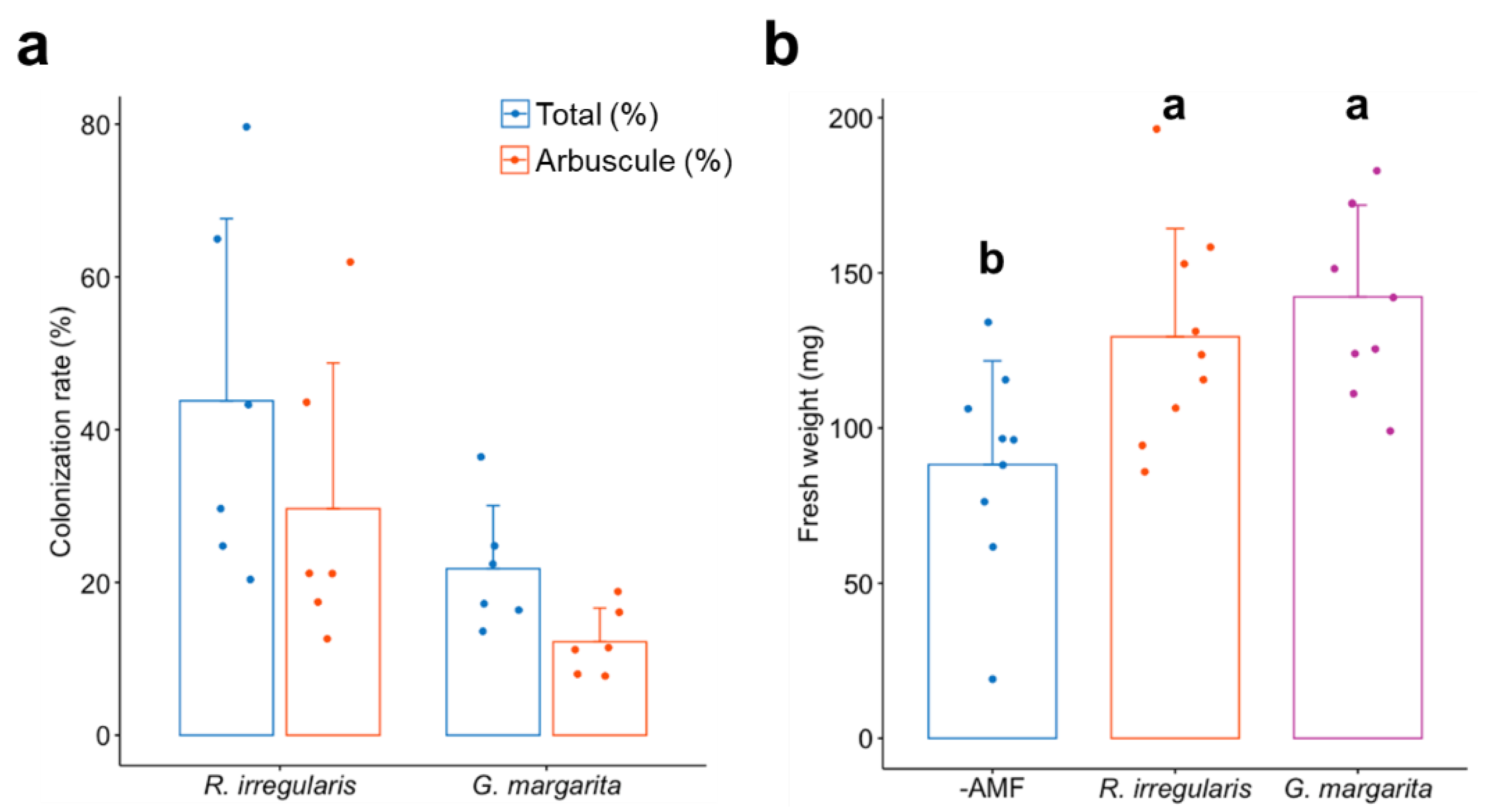 Plants 11 00747 g002