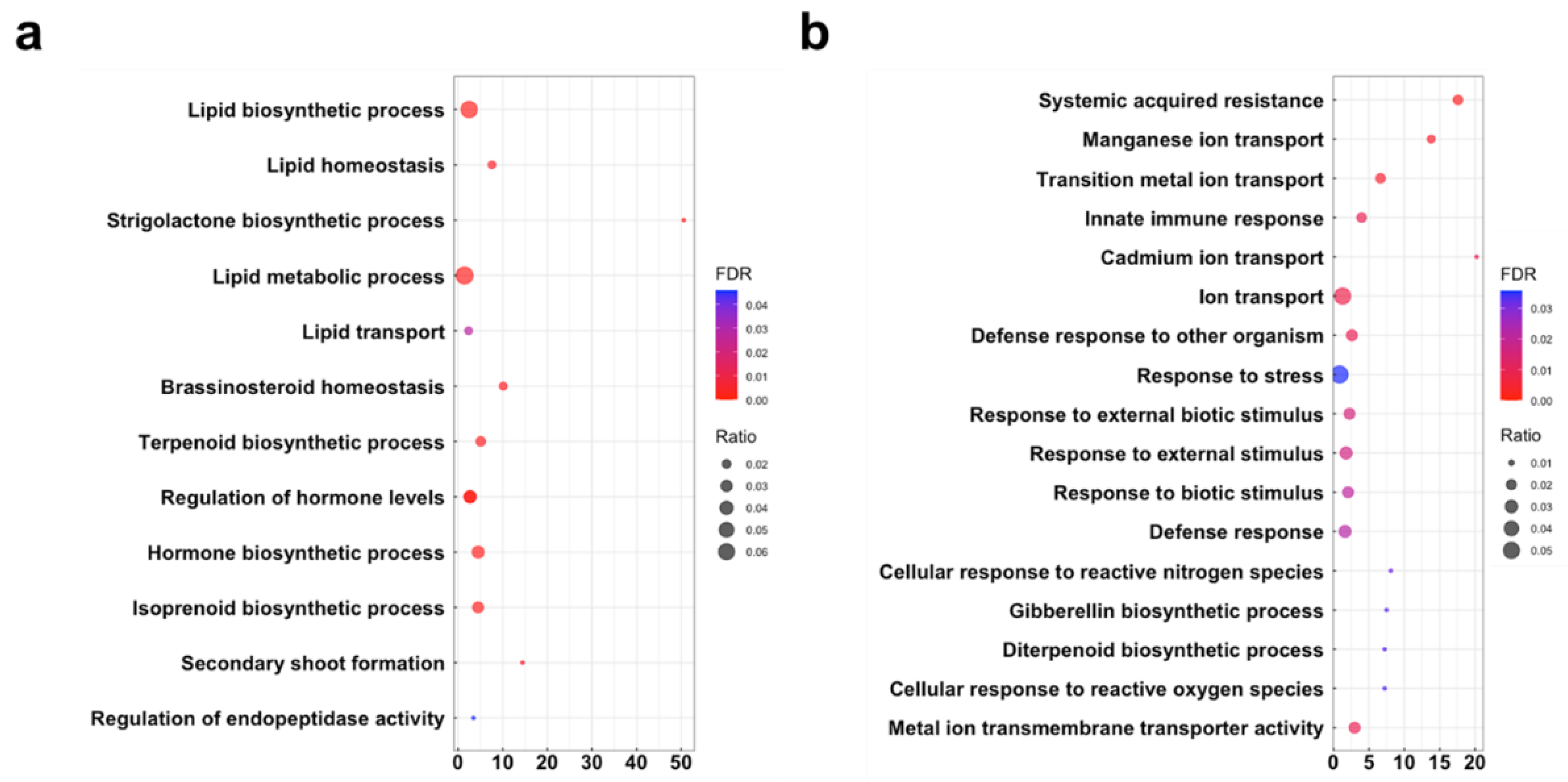 Plants 11 00747 g004