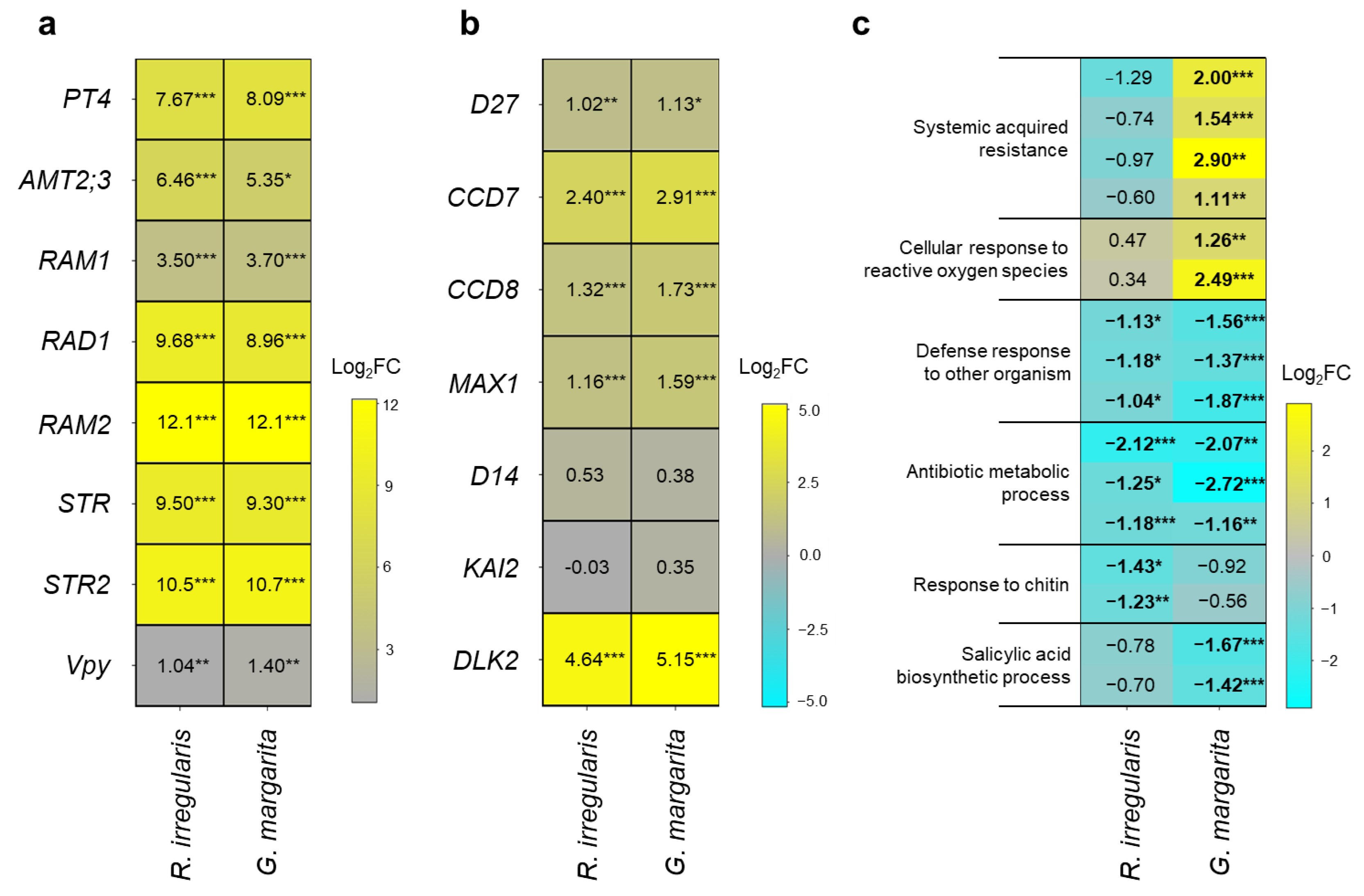 Plants 11 00747 g005