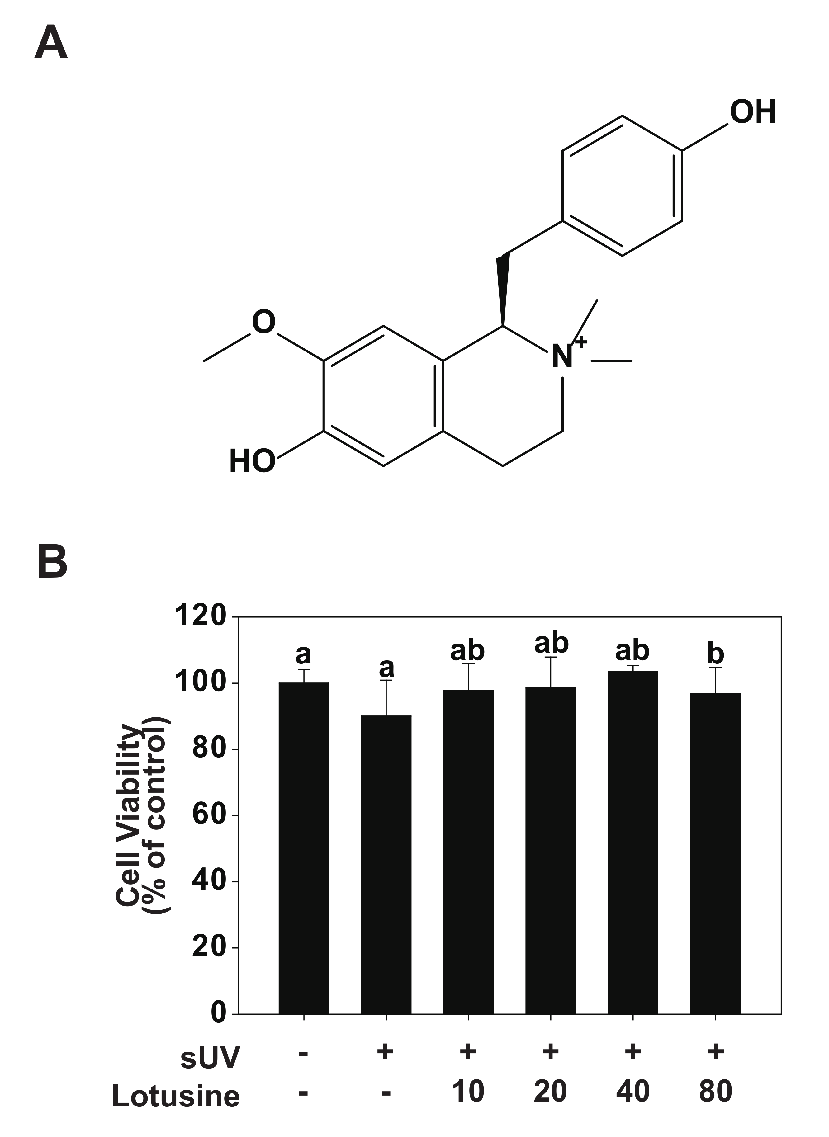 Plants 11 00773 g001