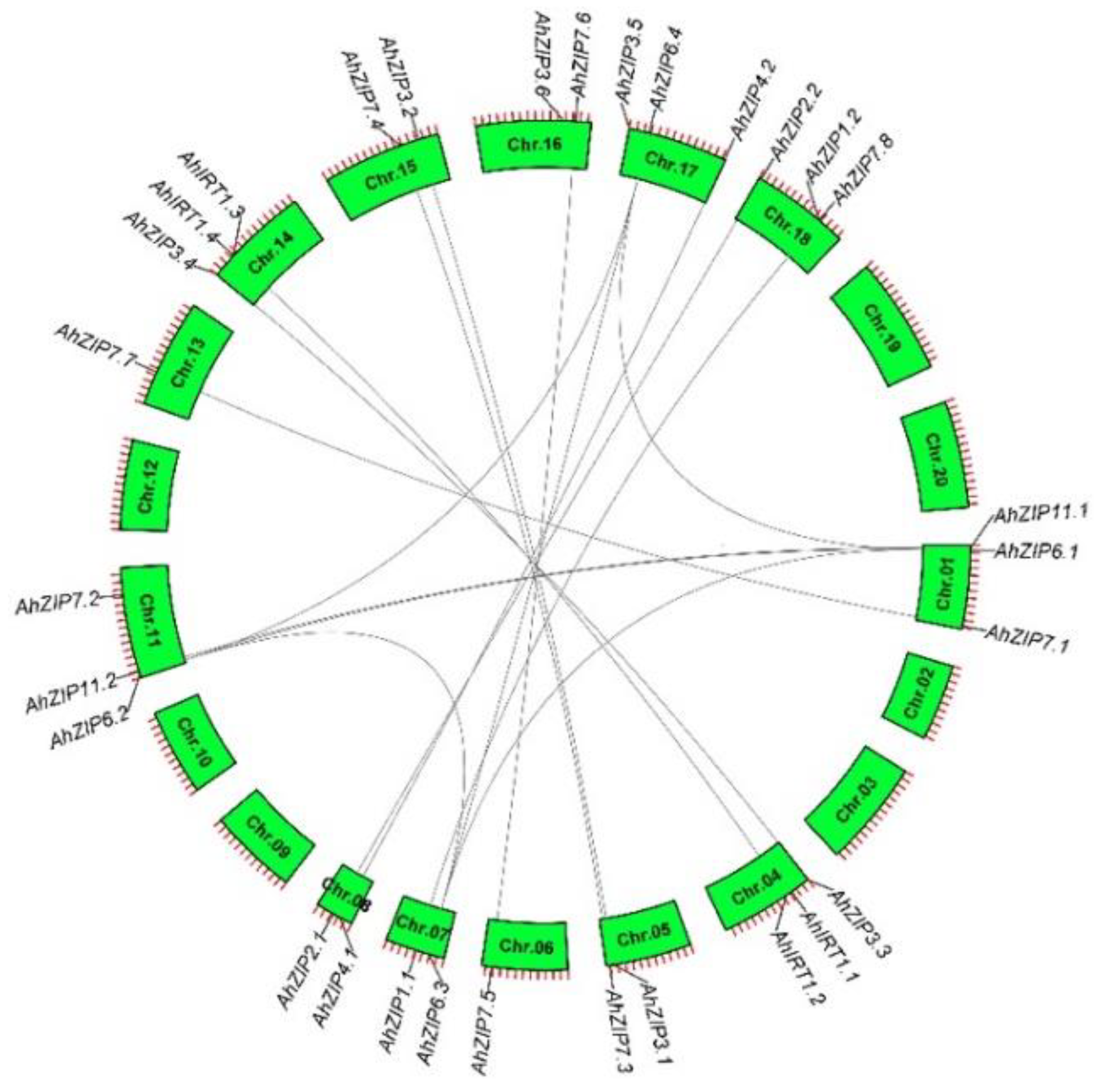 Plants 11 00786 g003