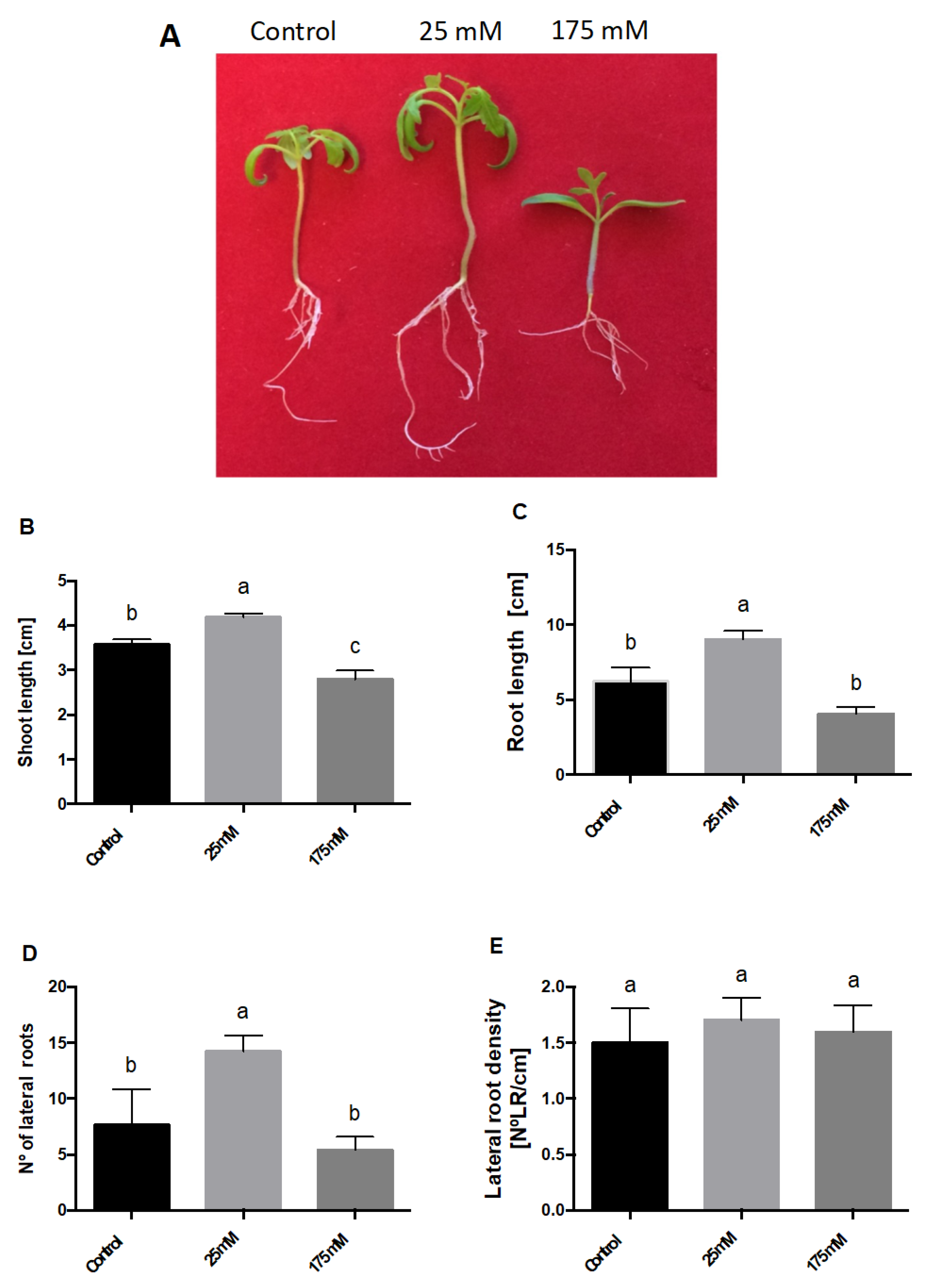 Plants 11 00807 g002