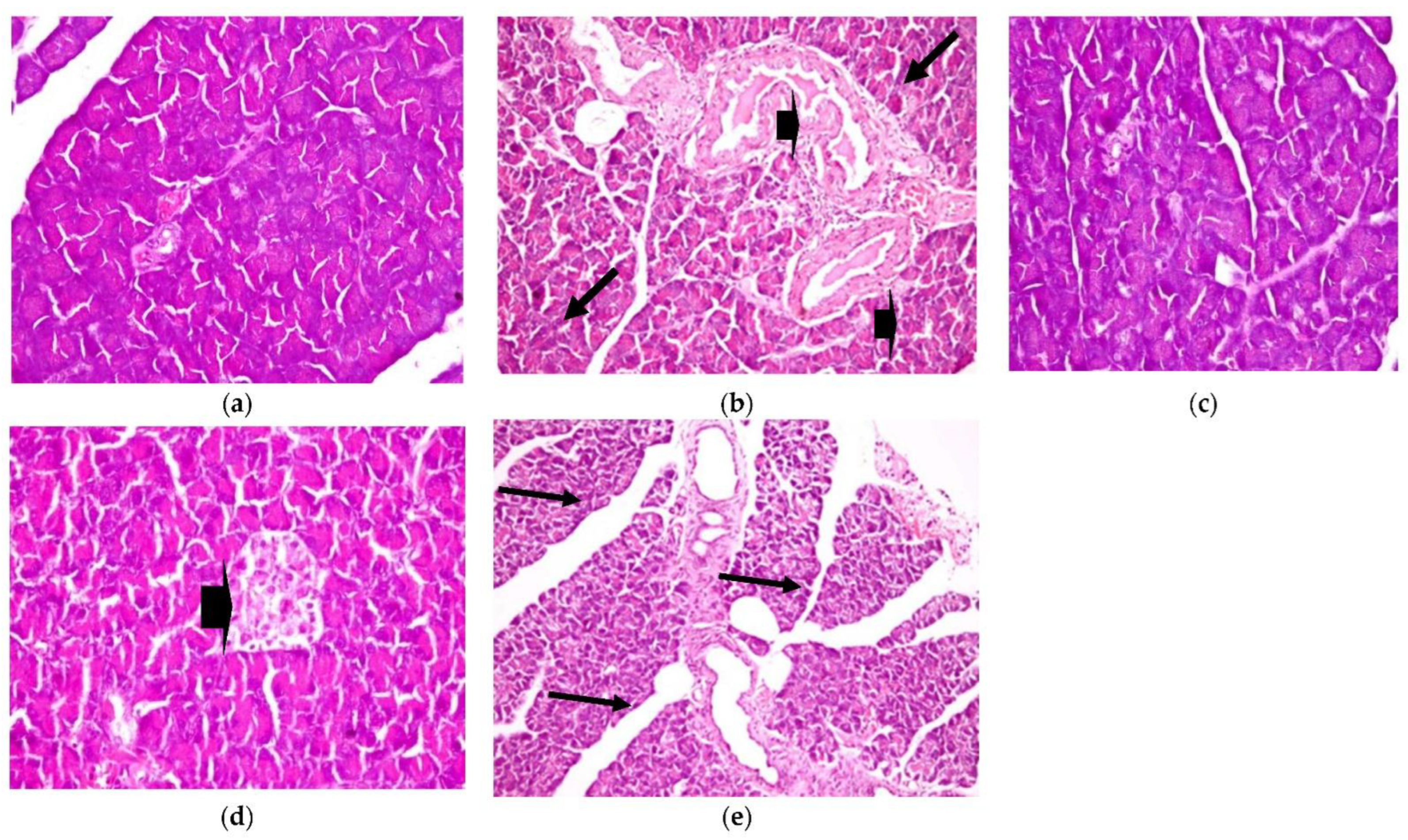 Plants 11 00830 g006