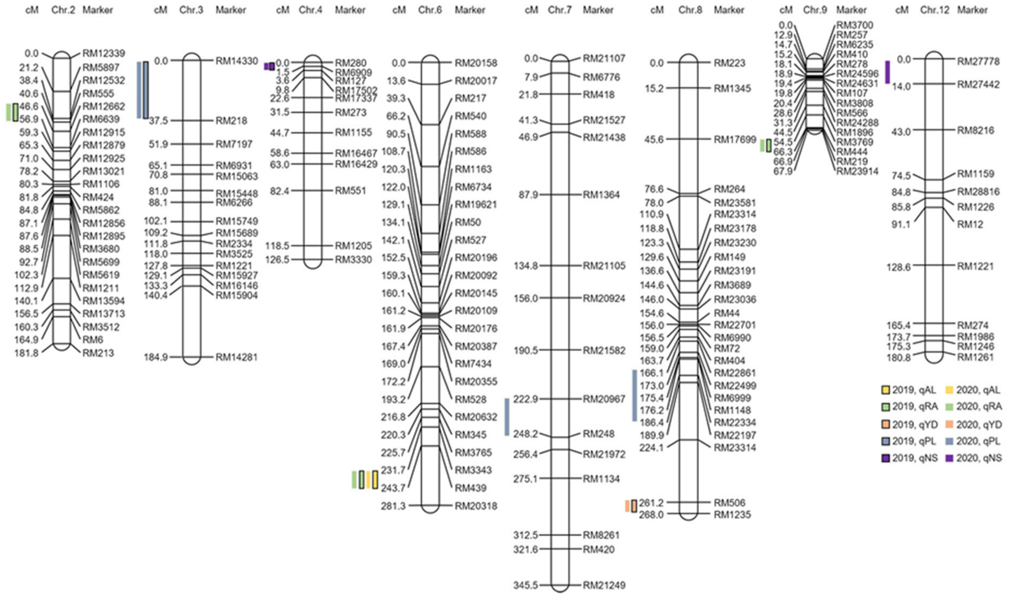 Plants 11 00851 g003