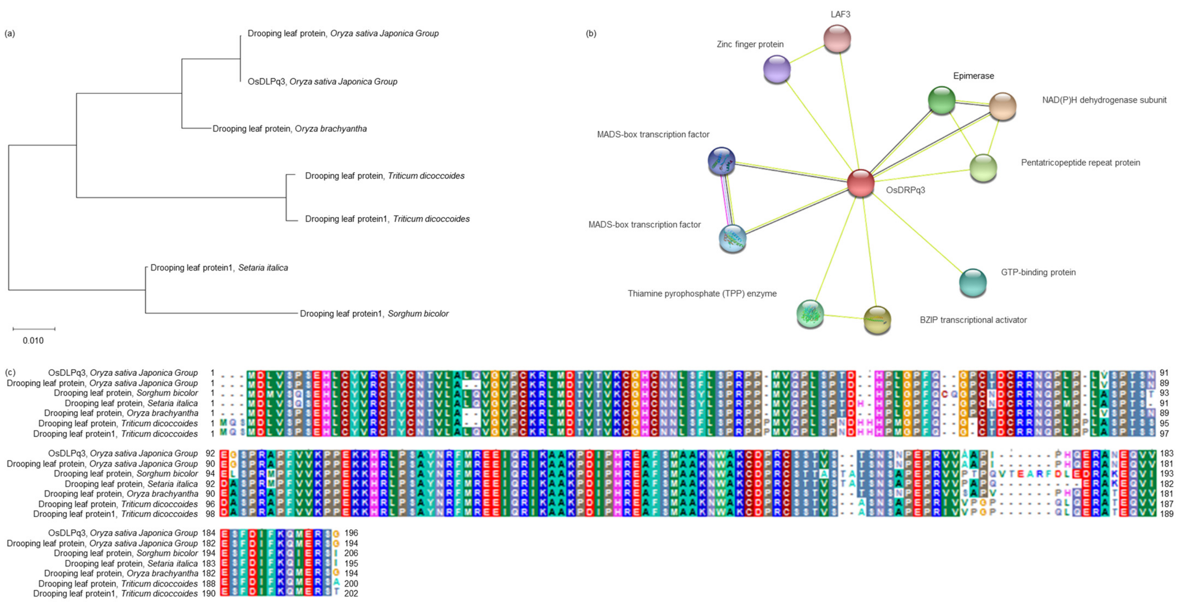 Plants 11 00851 g006