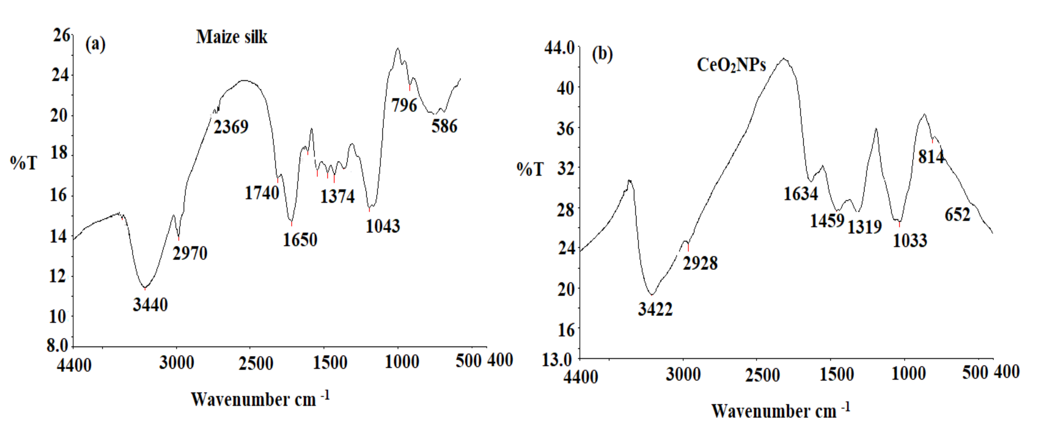 Plants 11 00885 g002