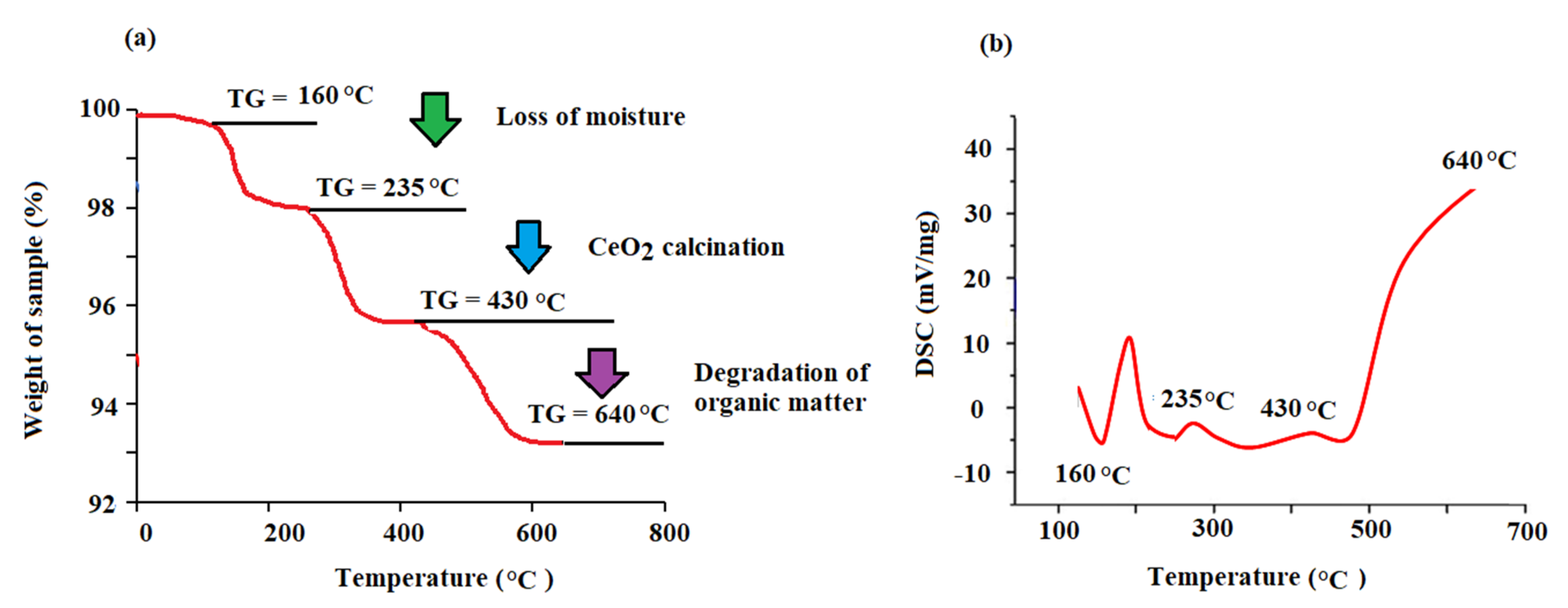 Plants 11 00885 g006