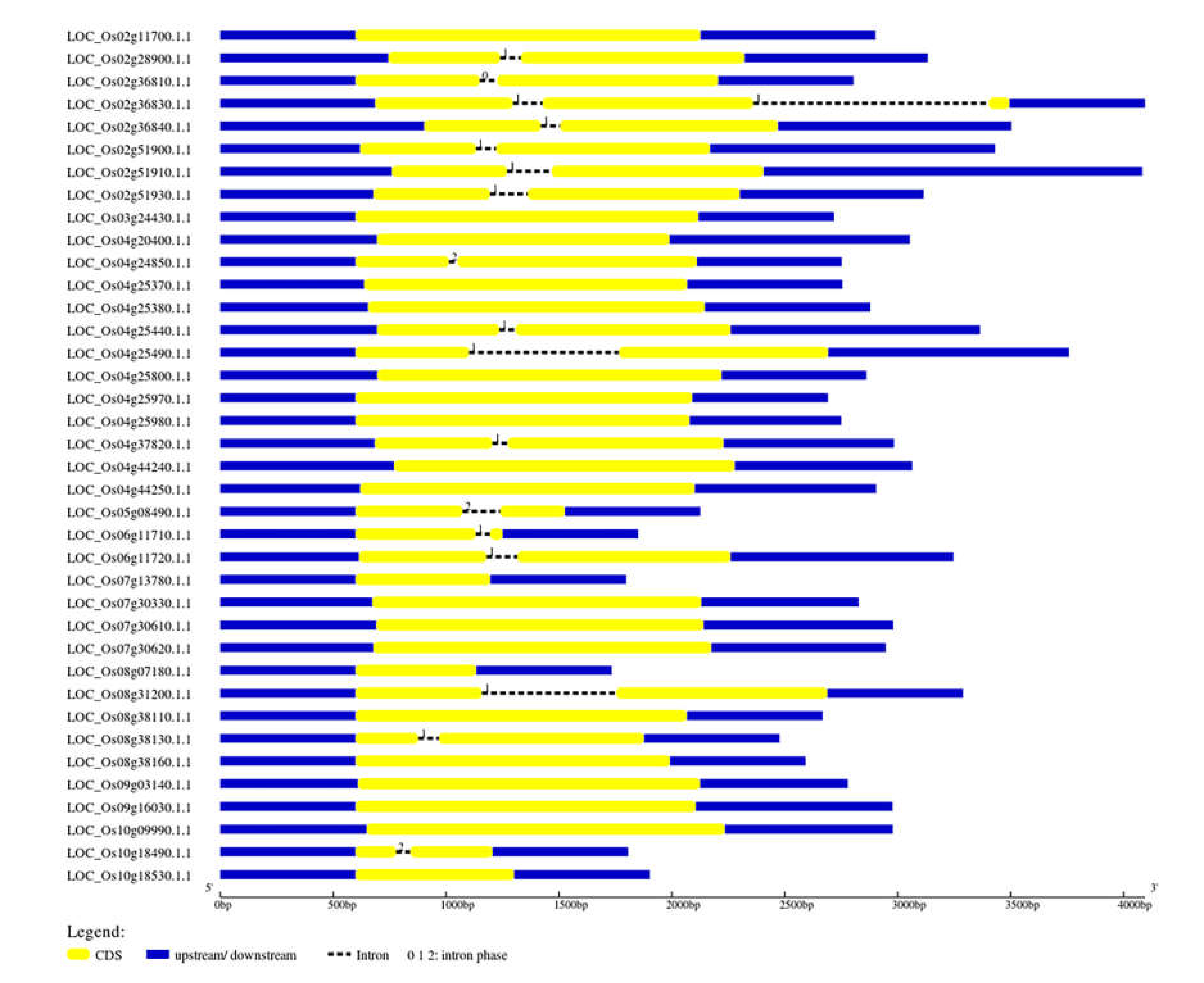 Plants 11 00917 g001