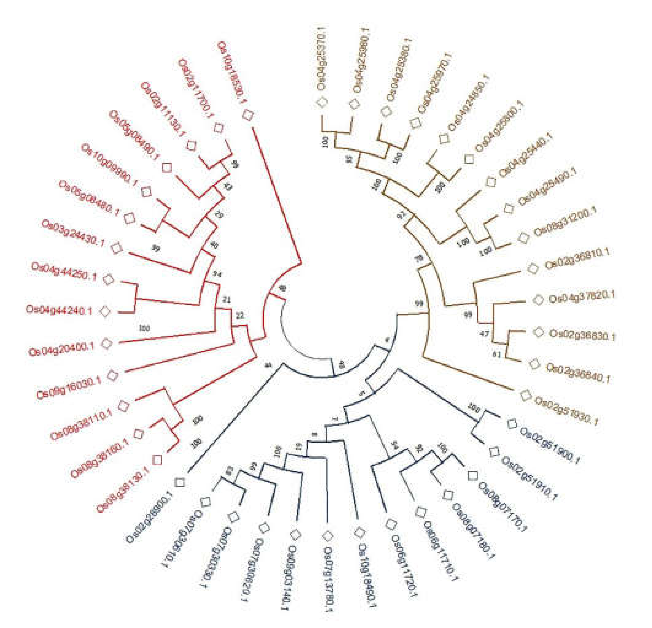 Plants 11 00917 g003