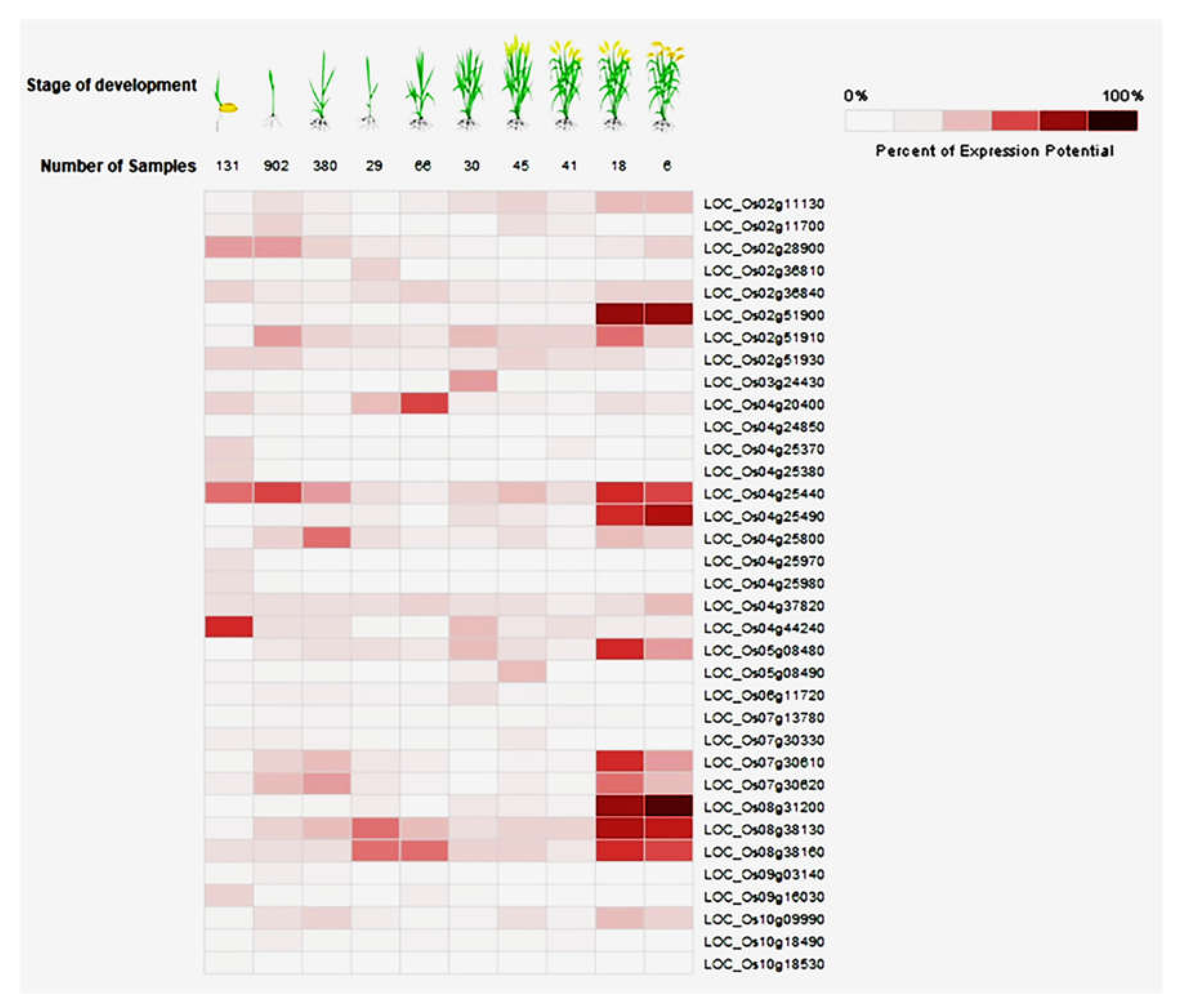 Plants 11 00917 g004