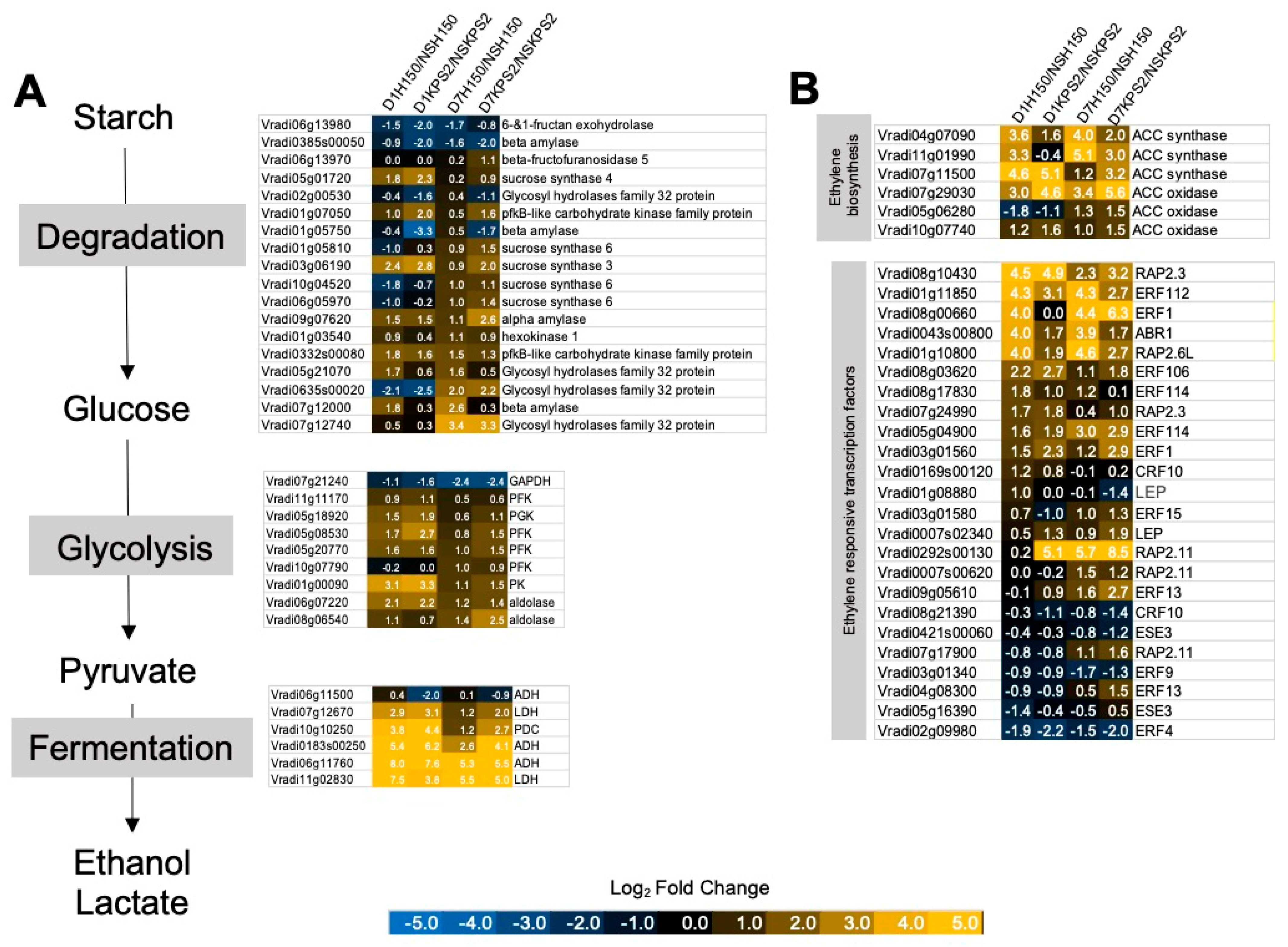 Plants 11 00930 g004 Plants 11 00930 g004