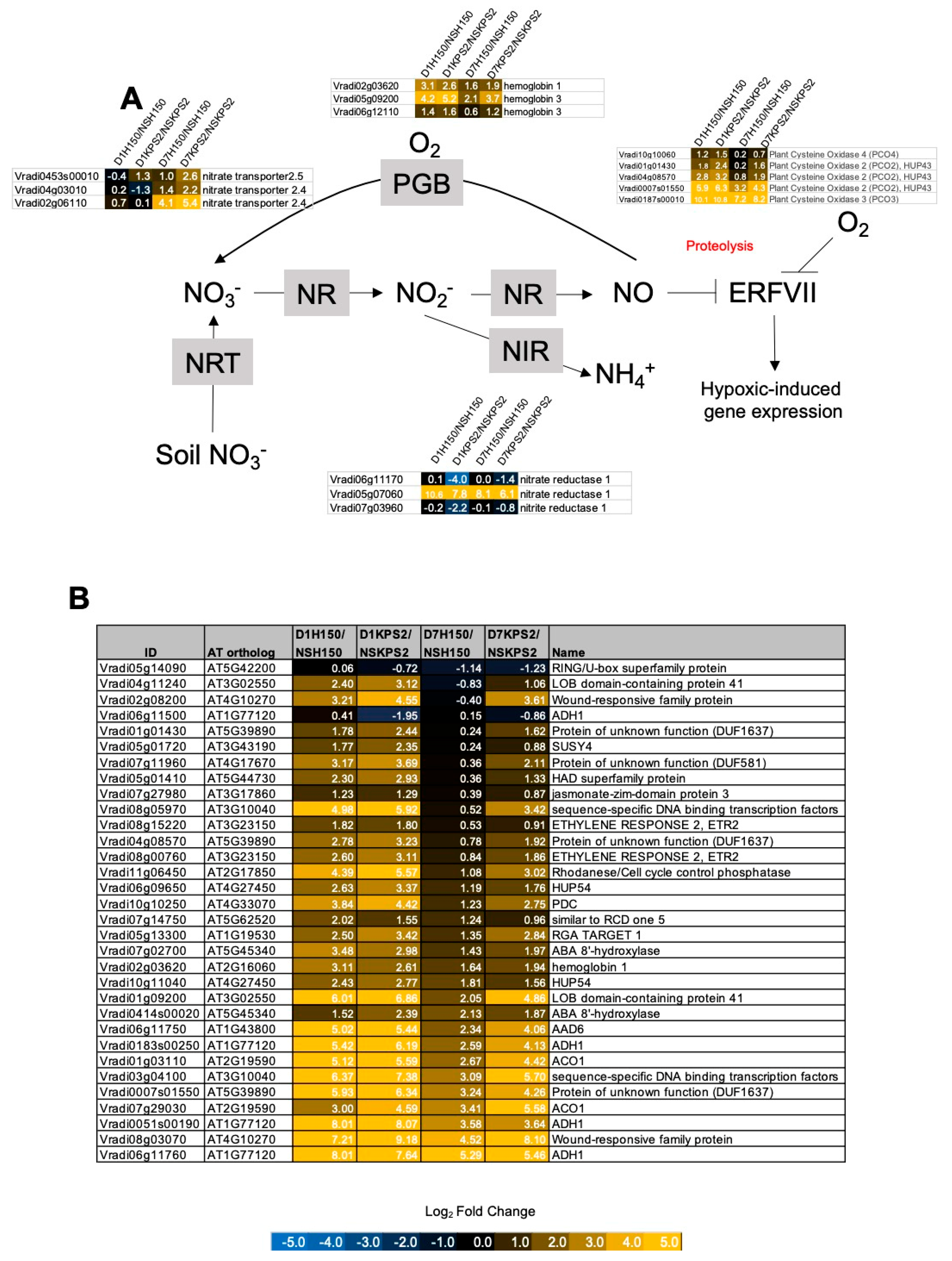Plants 11 00930 g005 Plants 11 00930 g005