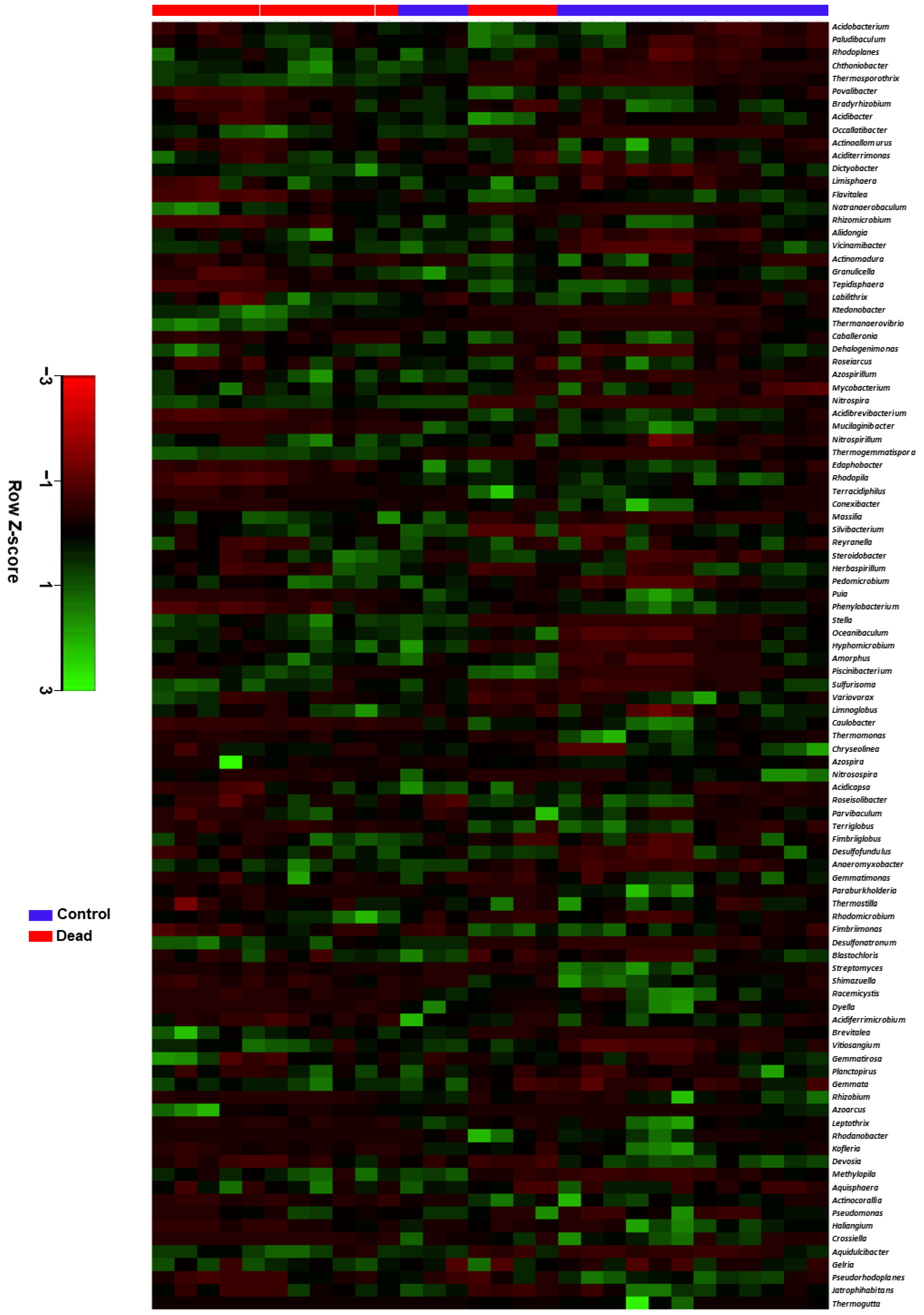 Plants 11 00990 g005