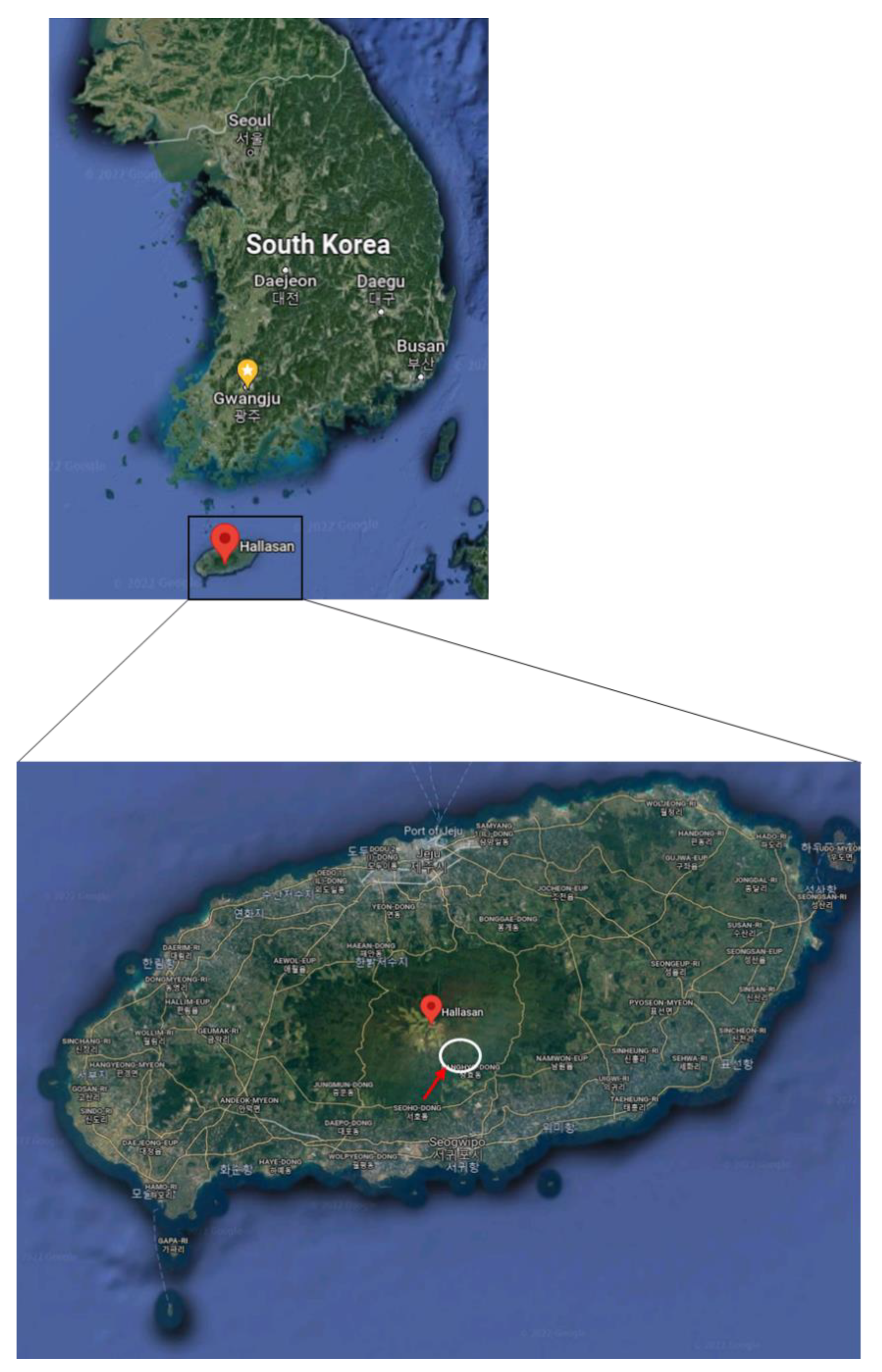 Plants 11 00990 g007