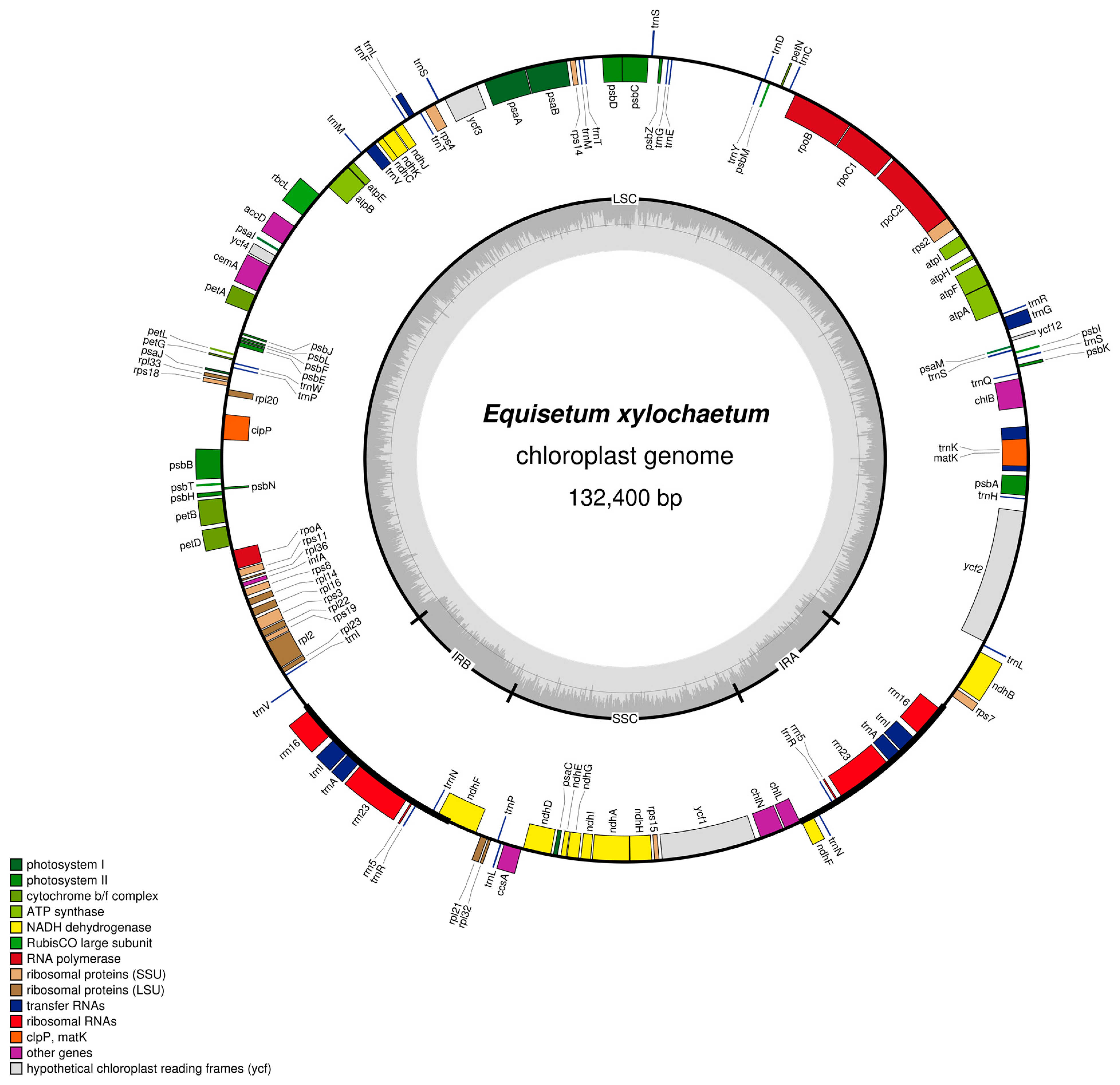 Plants 11 01001 g001