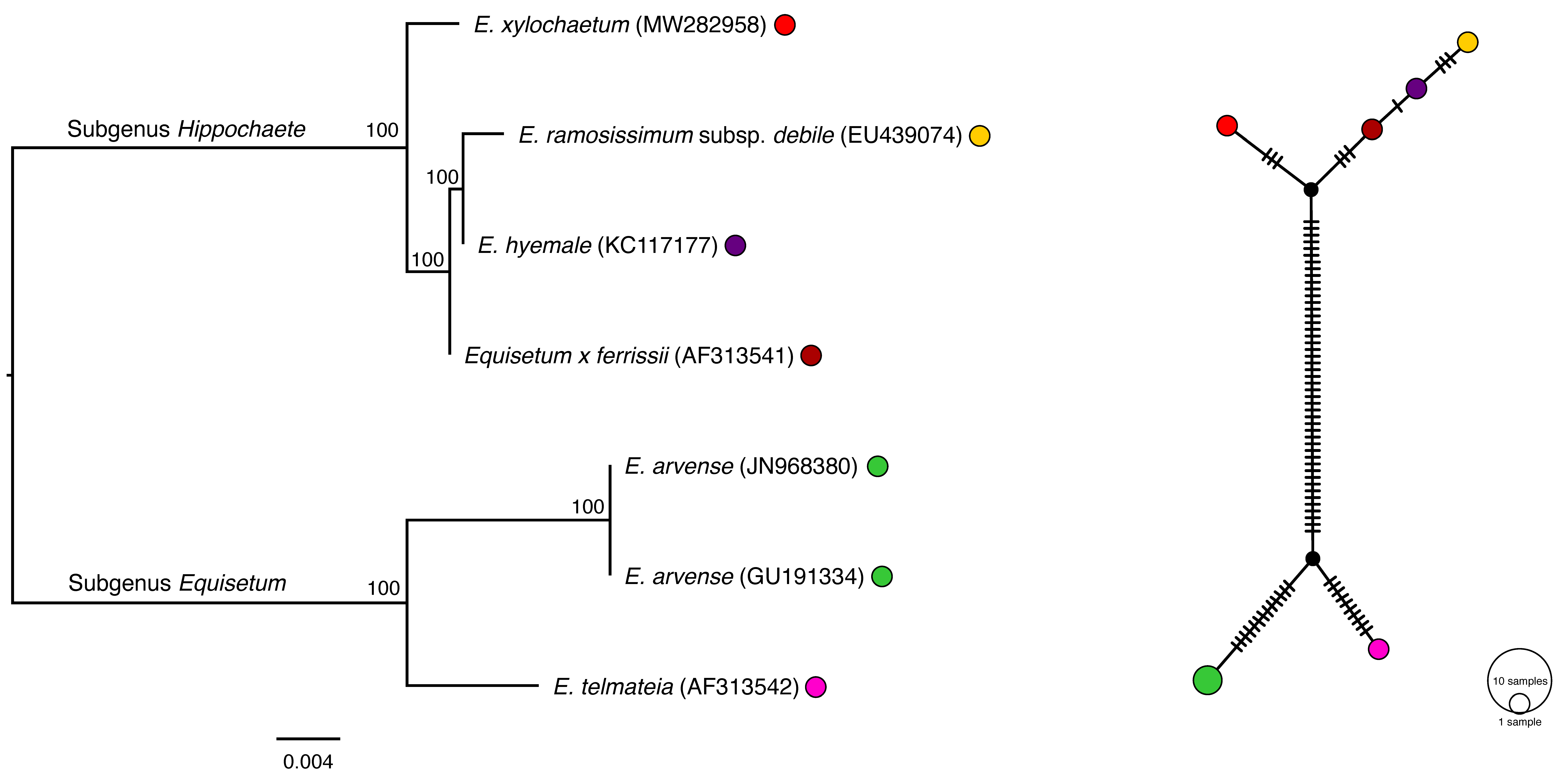 Plants 11 01001 g003