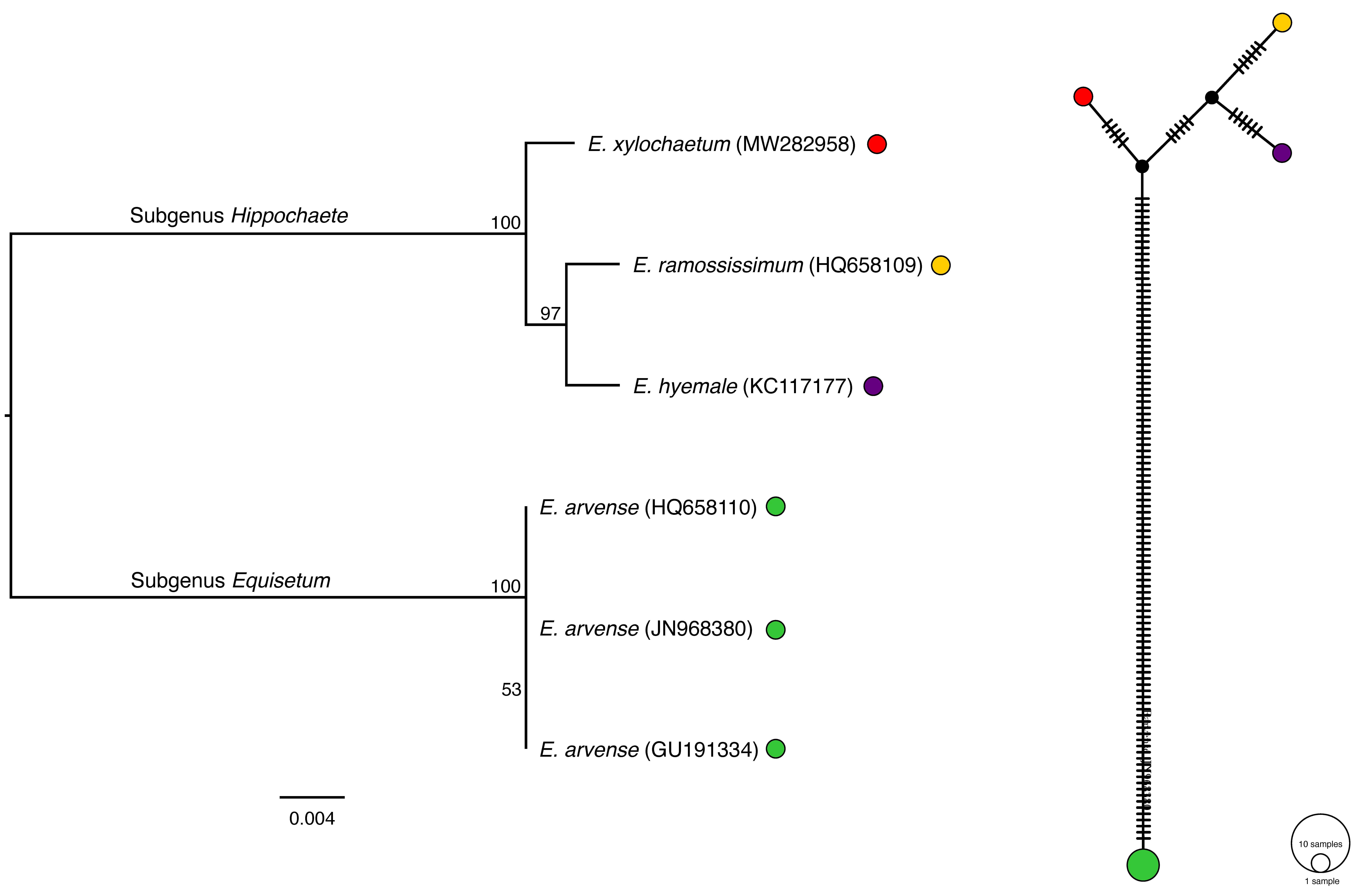 Plants 11 01001 g005