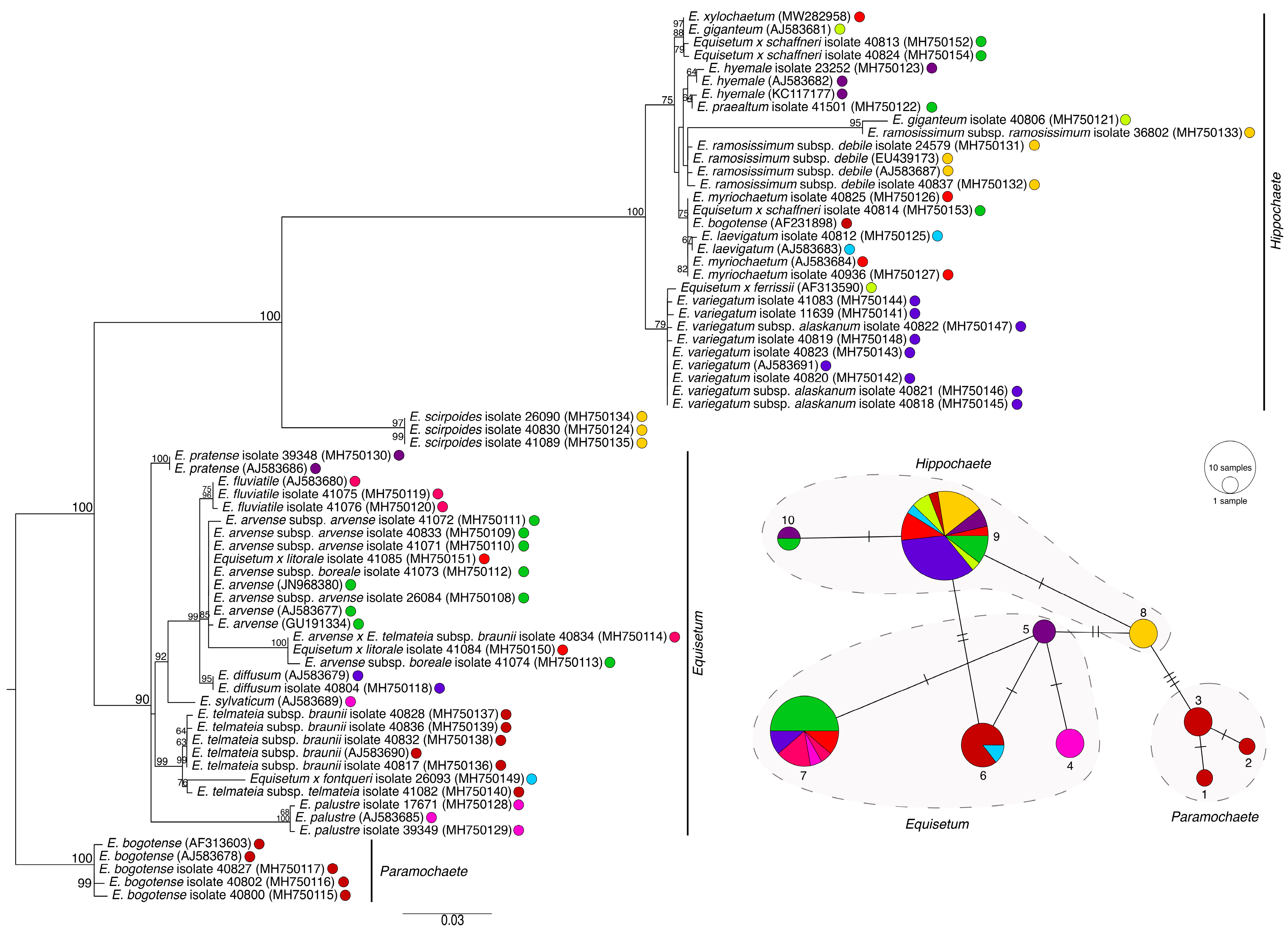 Plants 11 01001 g006