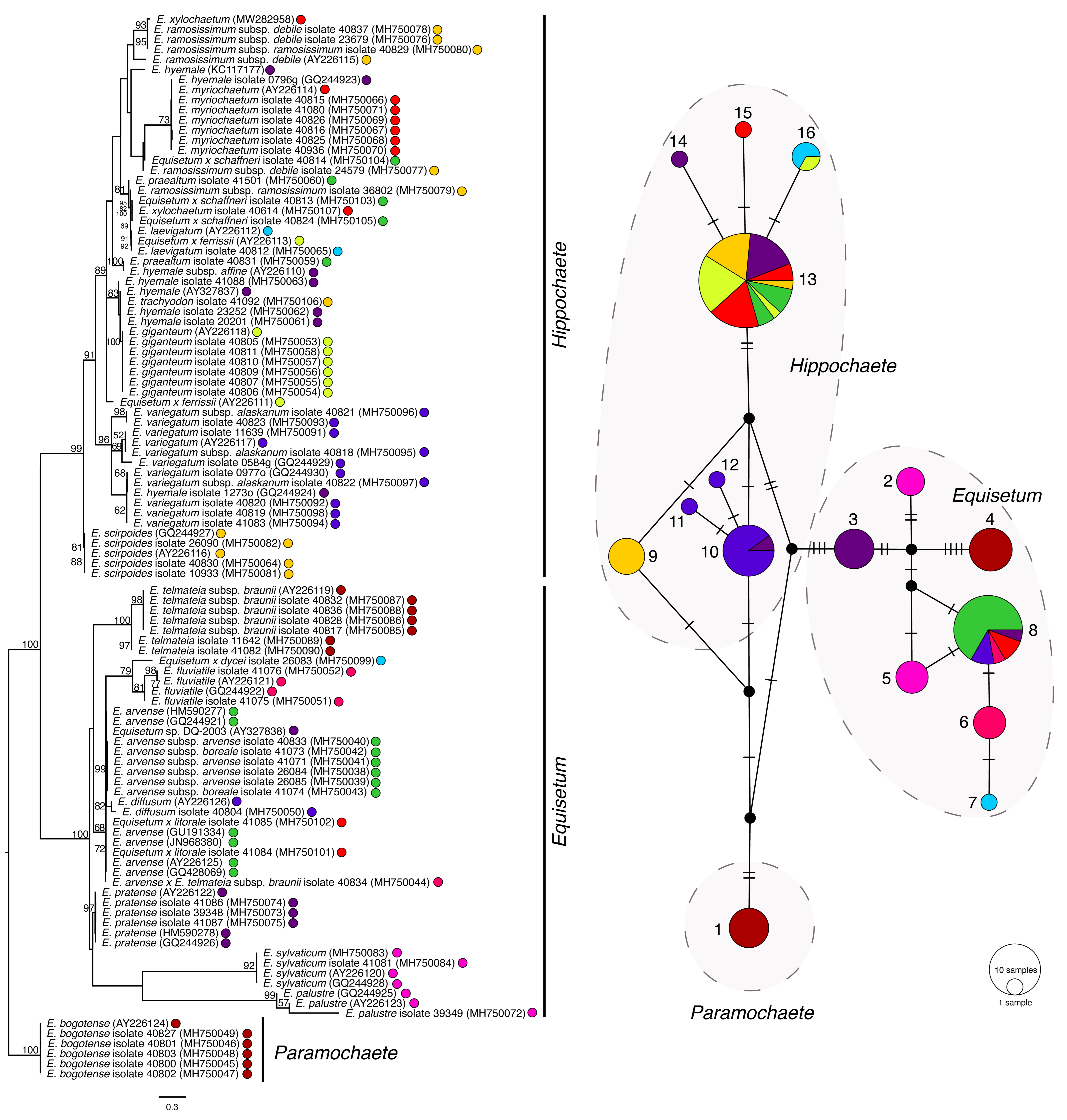 Plants 11 01001 g007