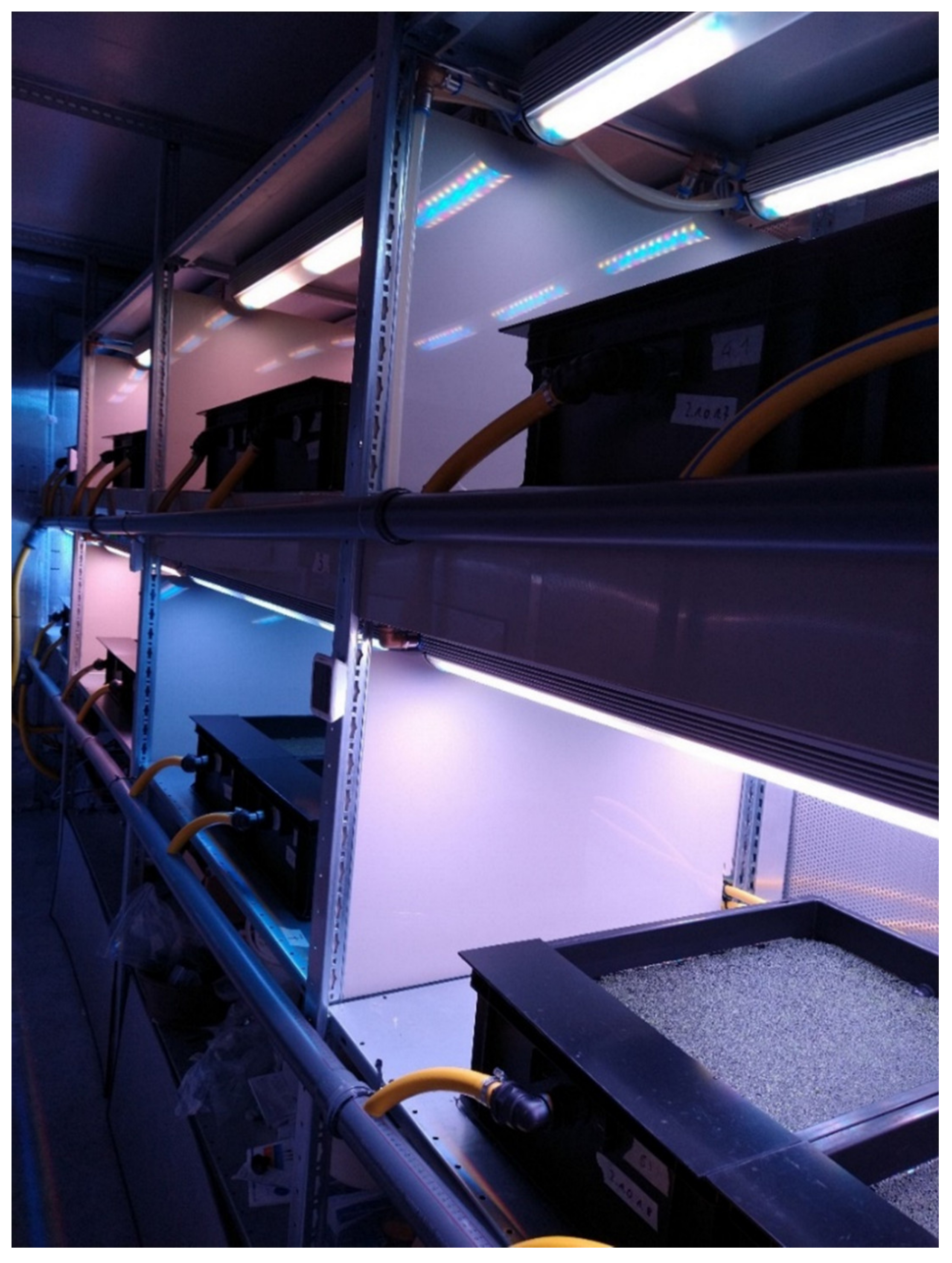 Plants 11 01010 g002