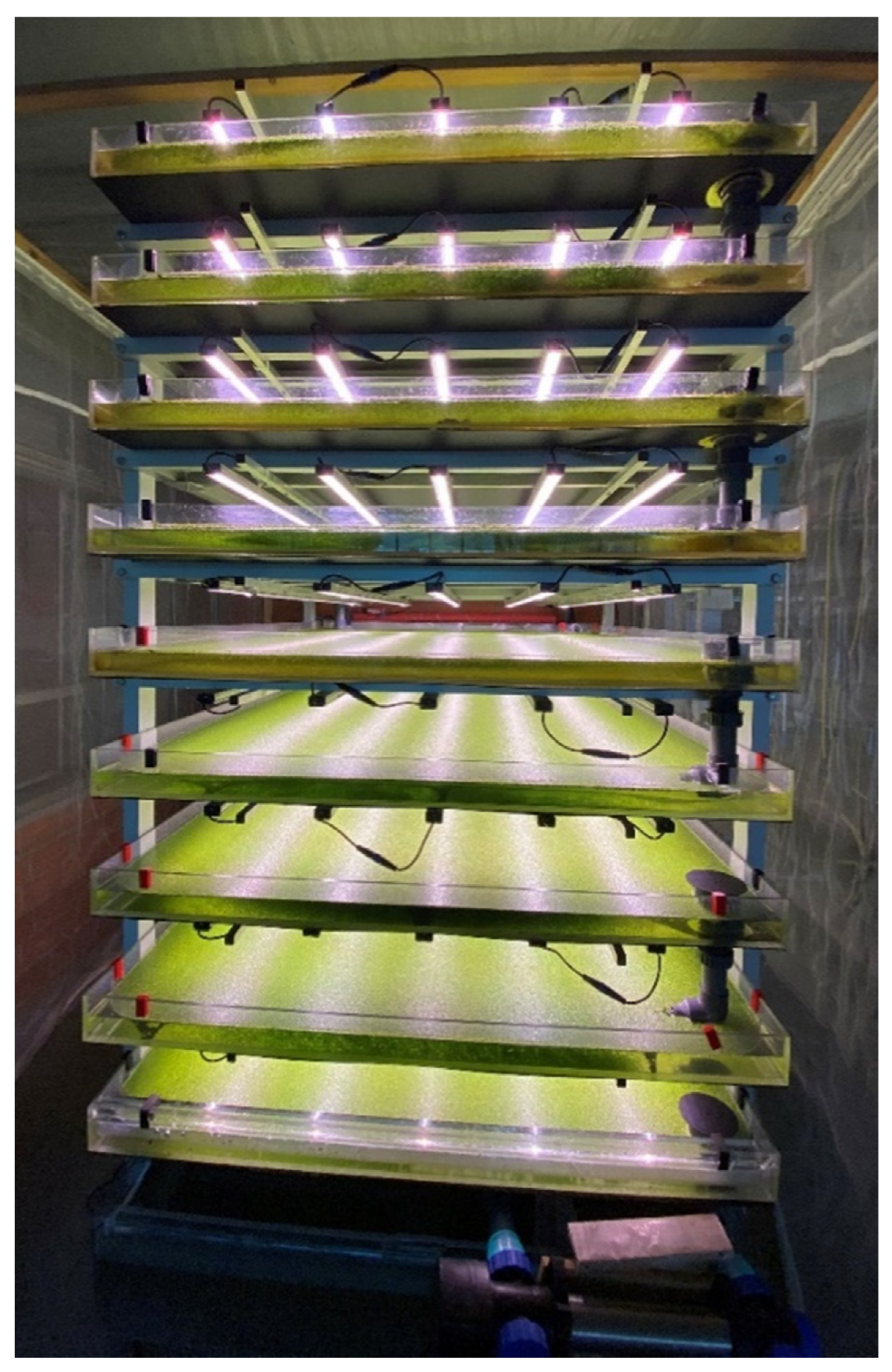 Plants 11 01010 g006