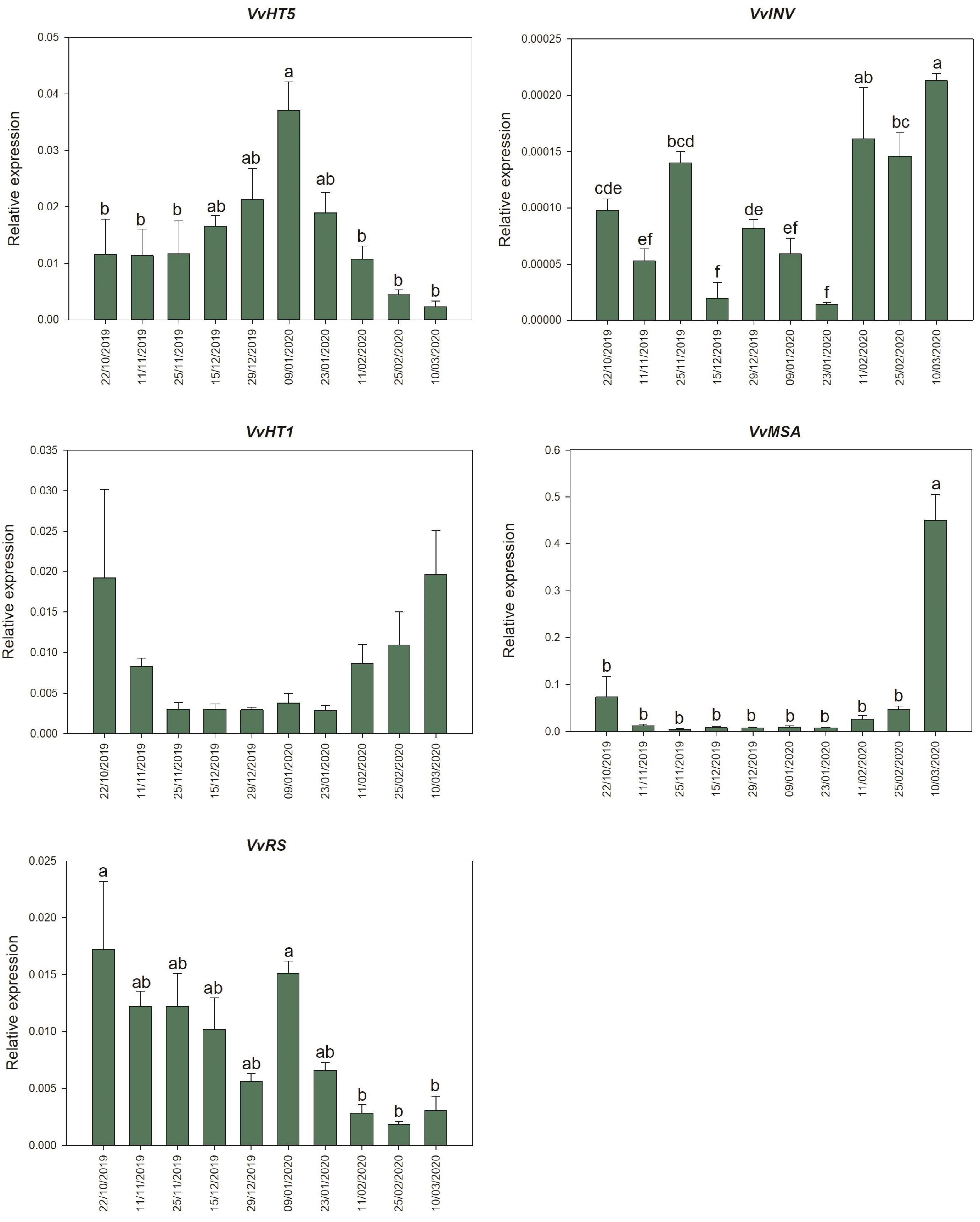 Plants 11 01027 g003