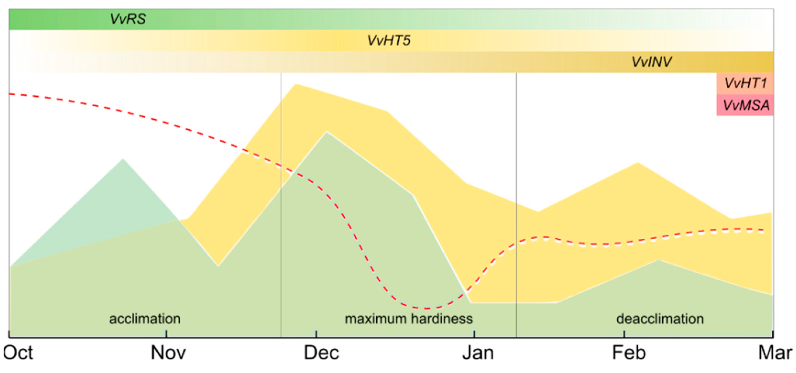 Plants 11 01027 g004
