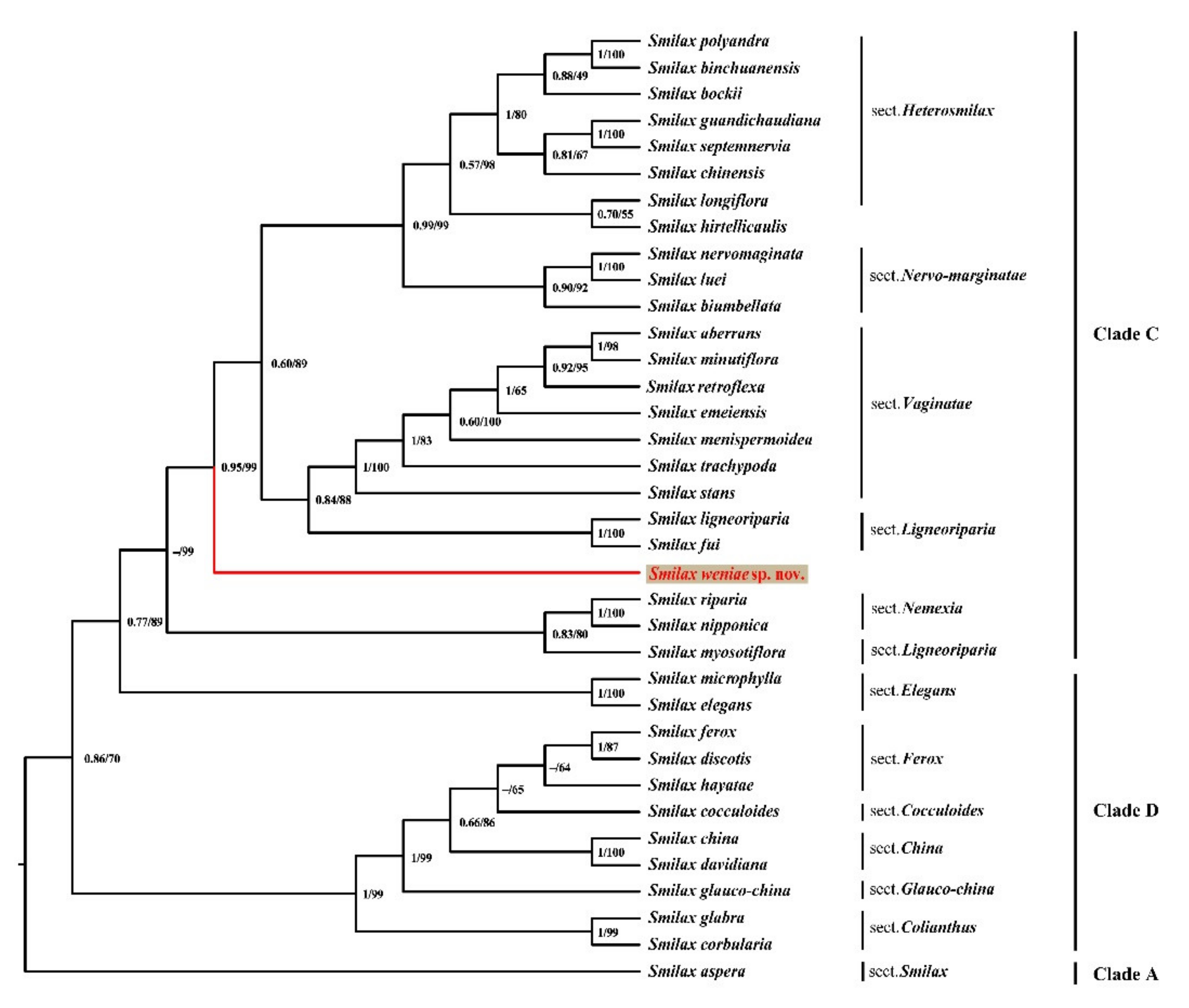 Plants 11 01032 g001