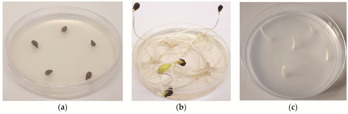 Plants 11 01064 g005