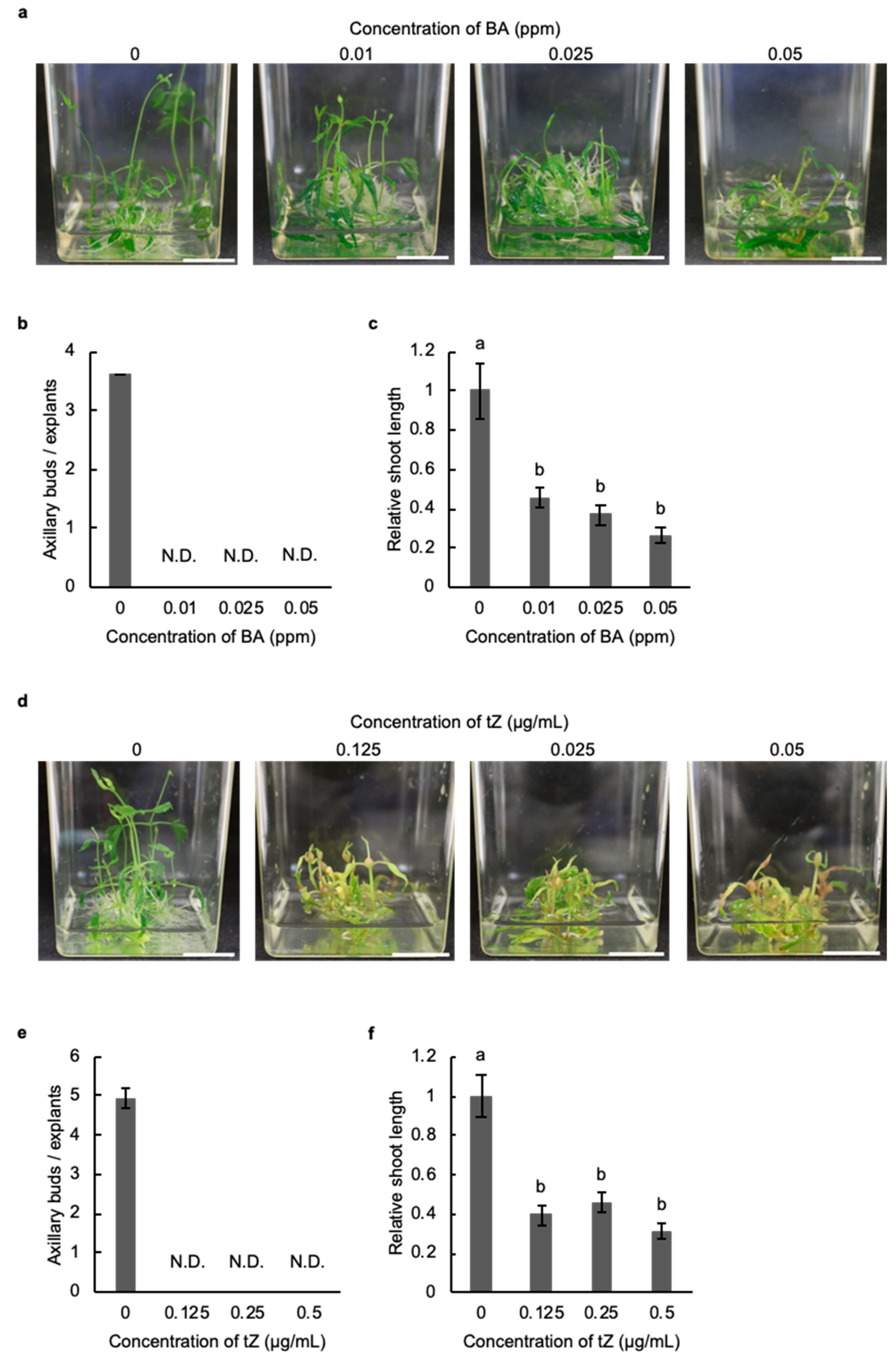 Plants 11 01066 g002