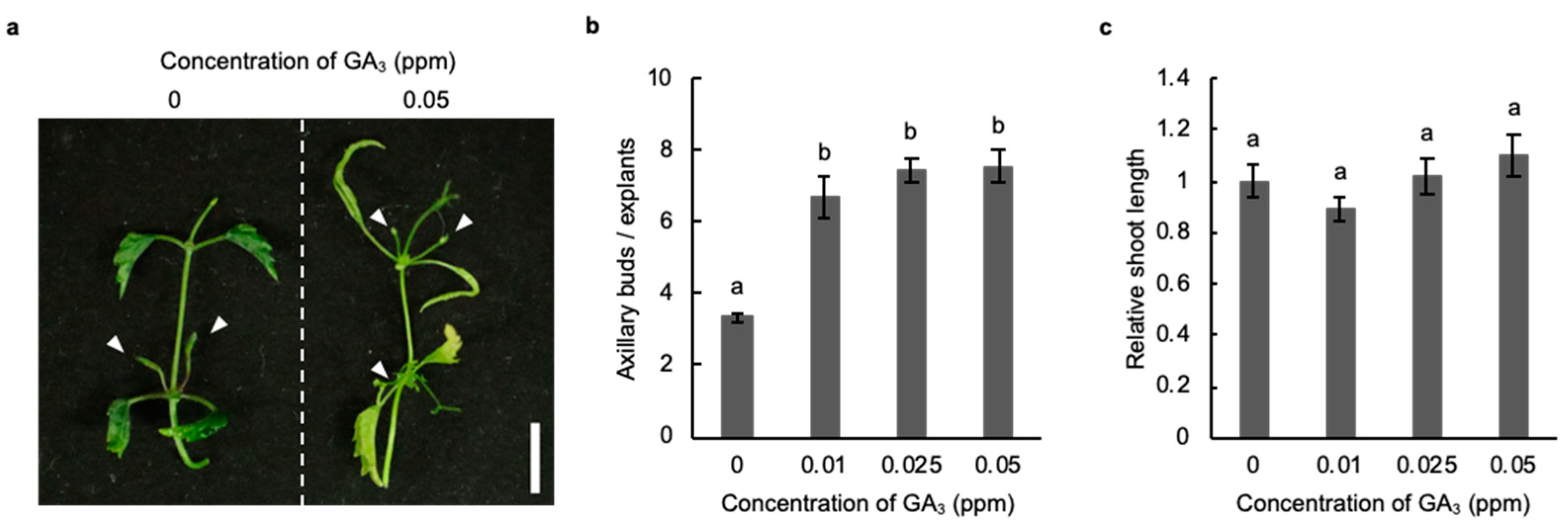 Plants 11 01066 g003