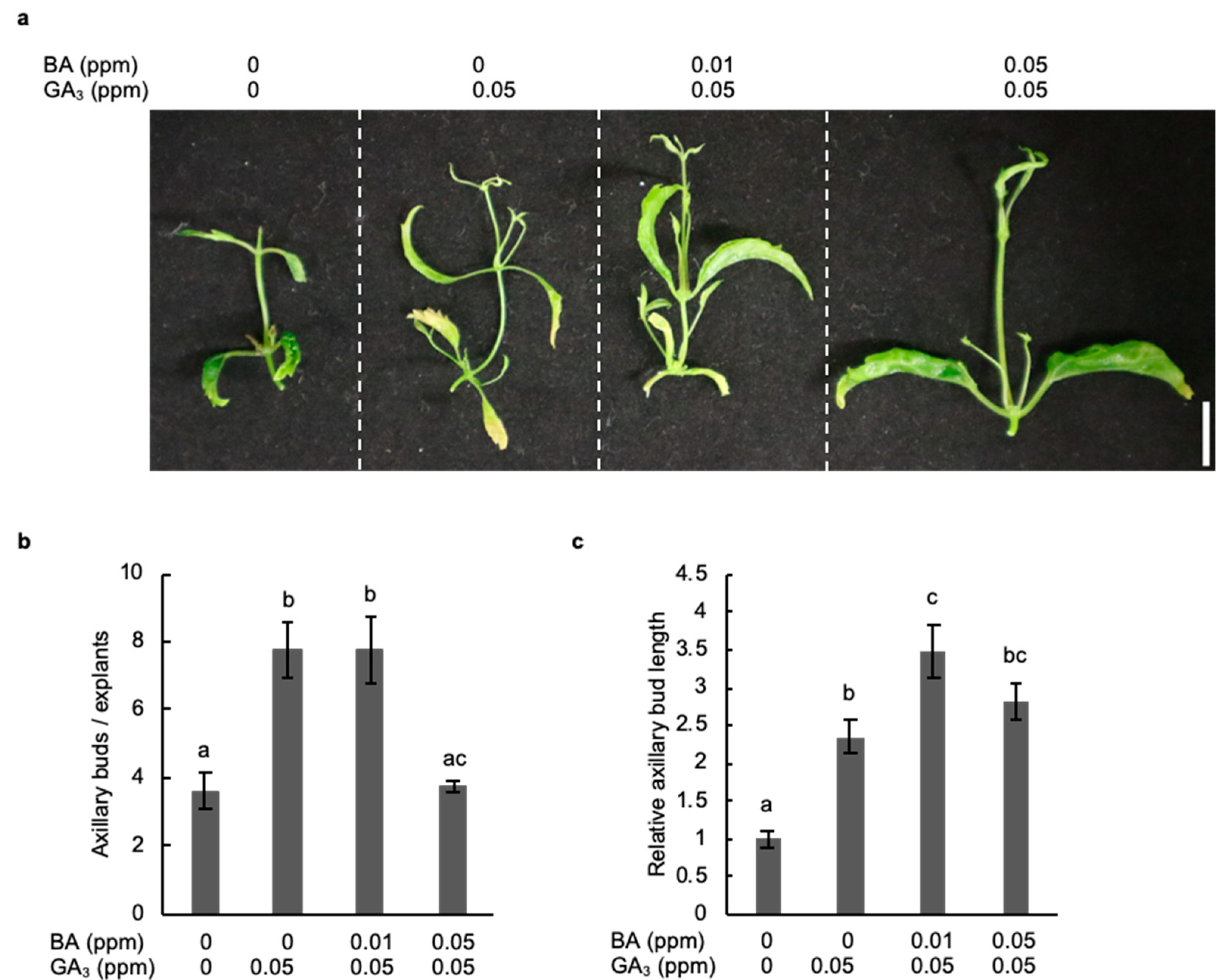 Plants 11 01066 g004
