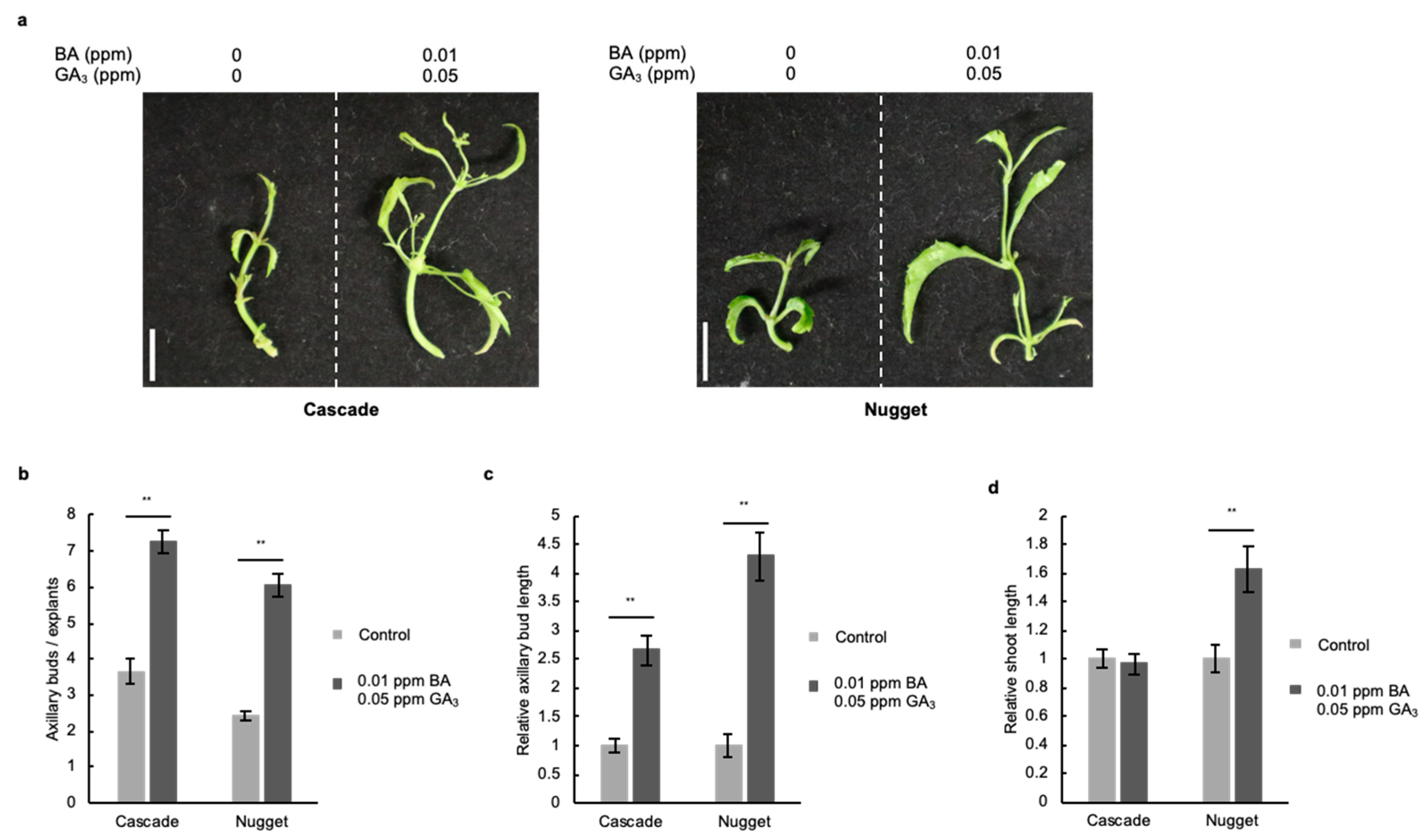 Plants 11 01066 g005