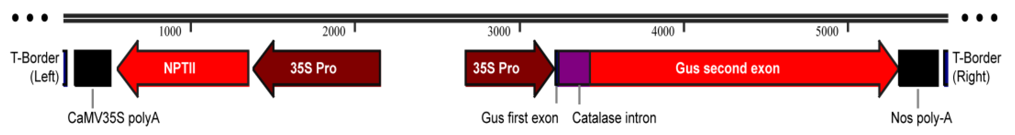 Plants 11 01067 g007