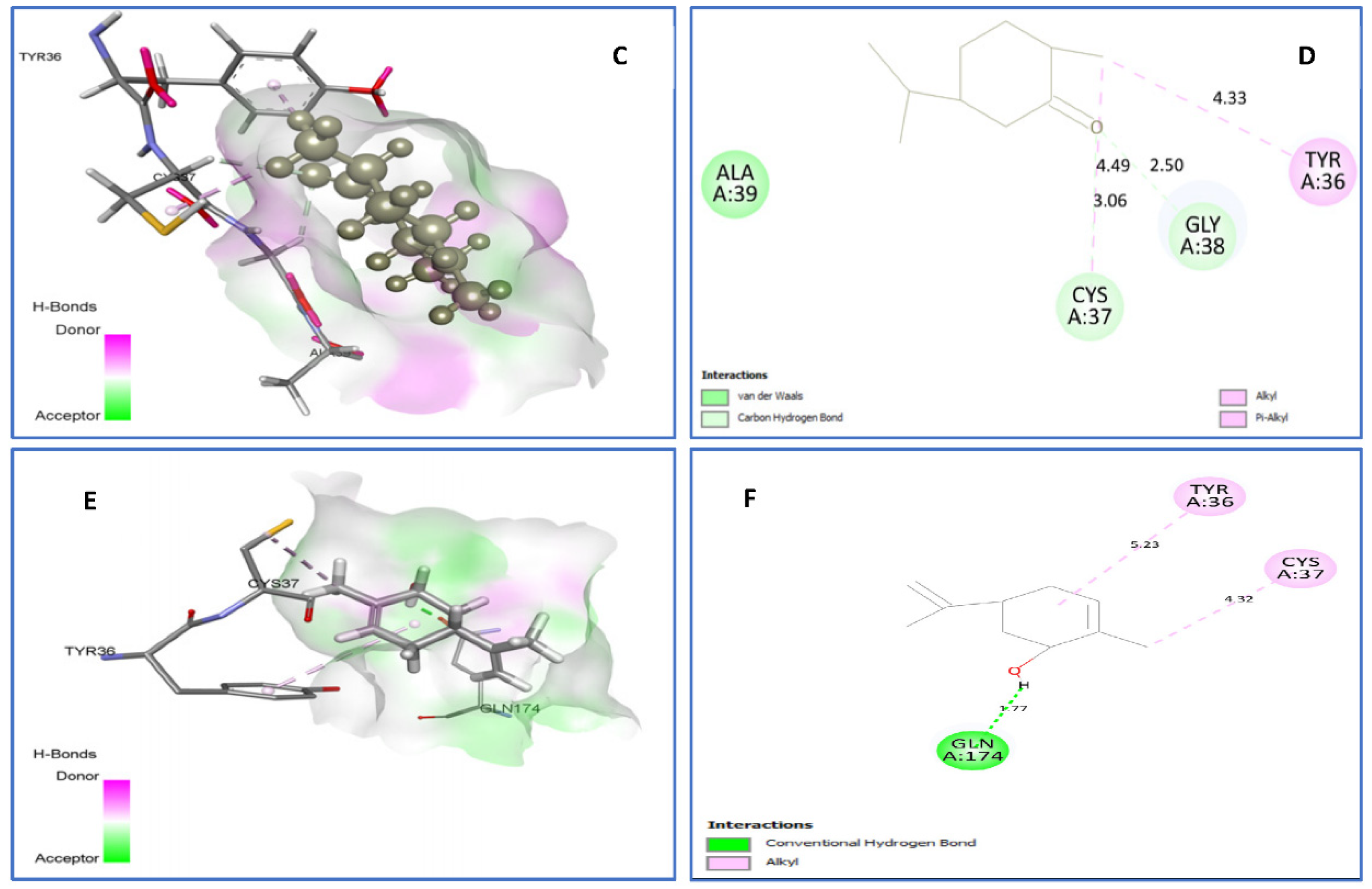 Plants 11 01072 g005b Plants 11 01072 g005b
