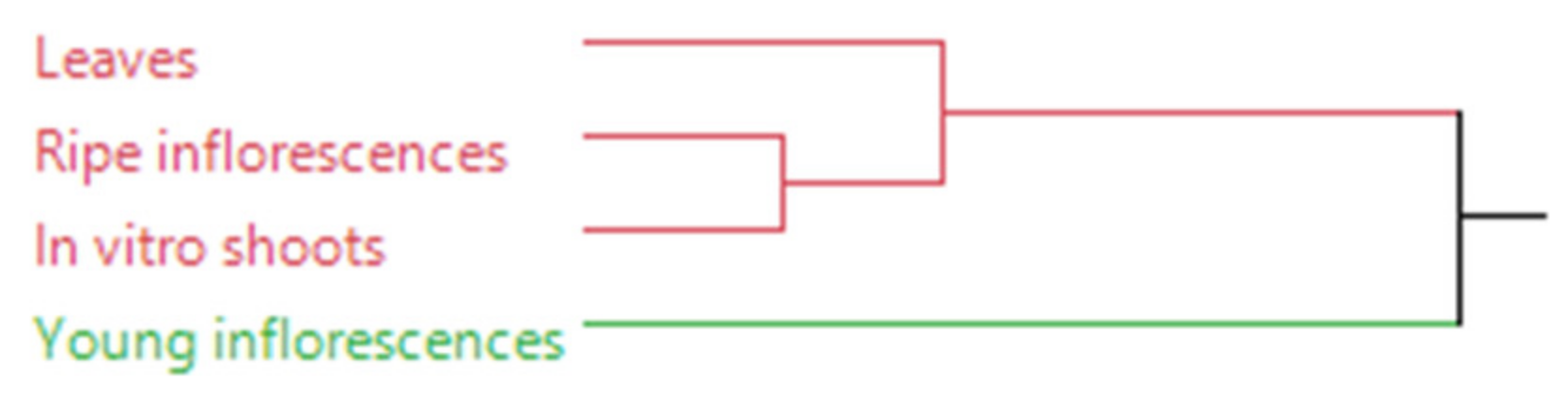 Plants 11 01081 g002