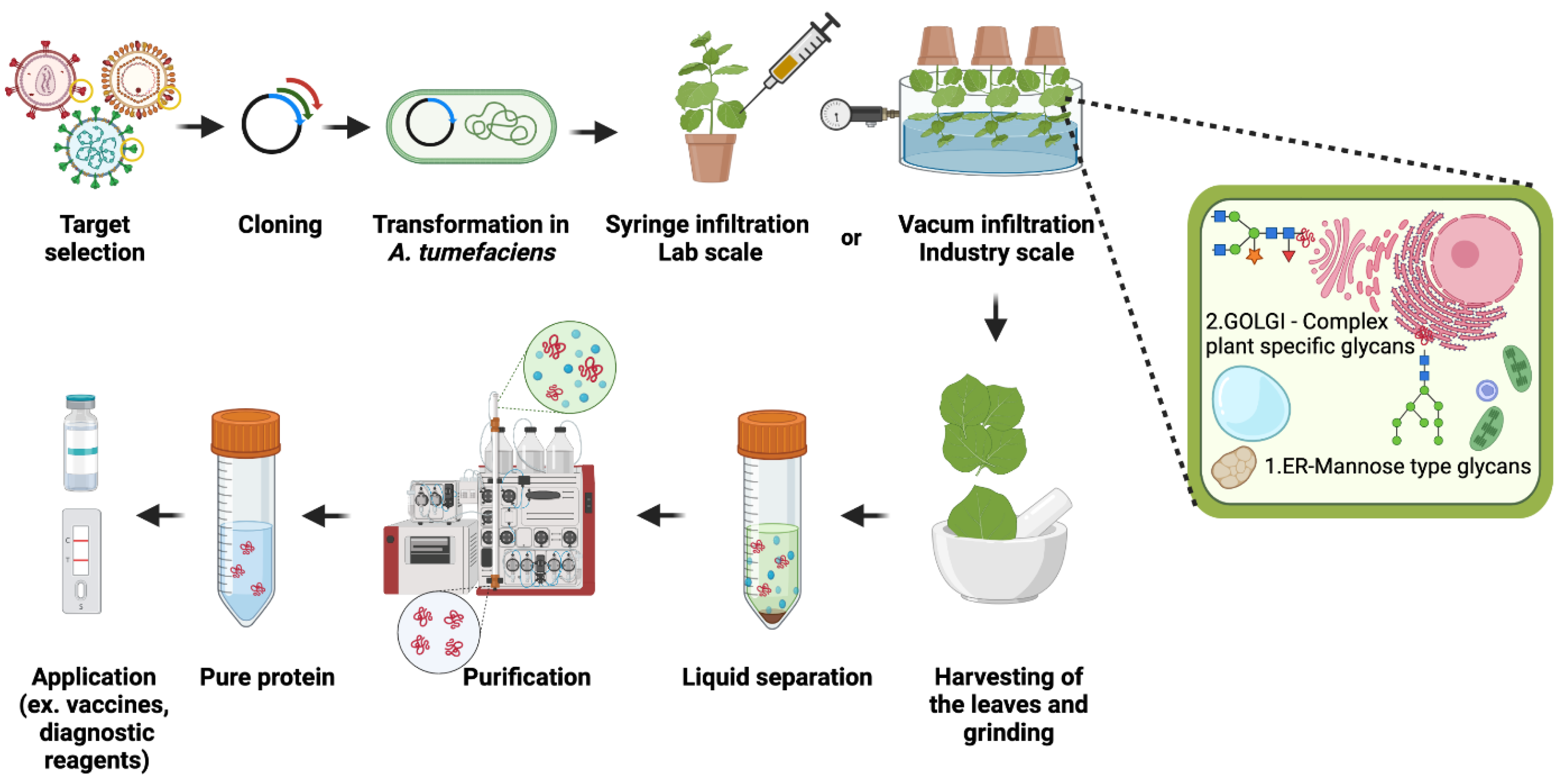Plants 11 01093 g001 Plants 11 01093 g001