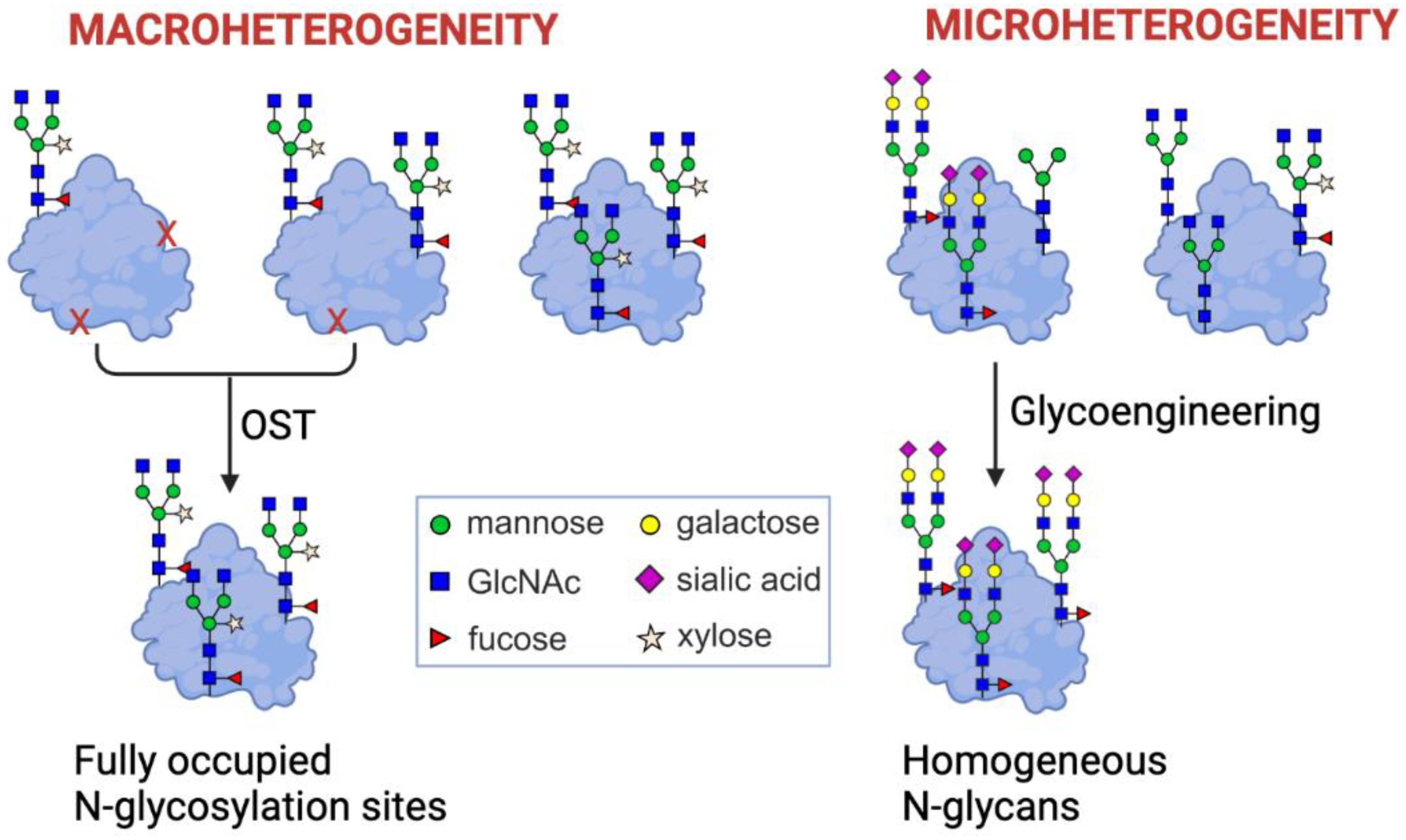 Plants 11 01093 g004 Plants 11 01093 g004