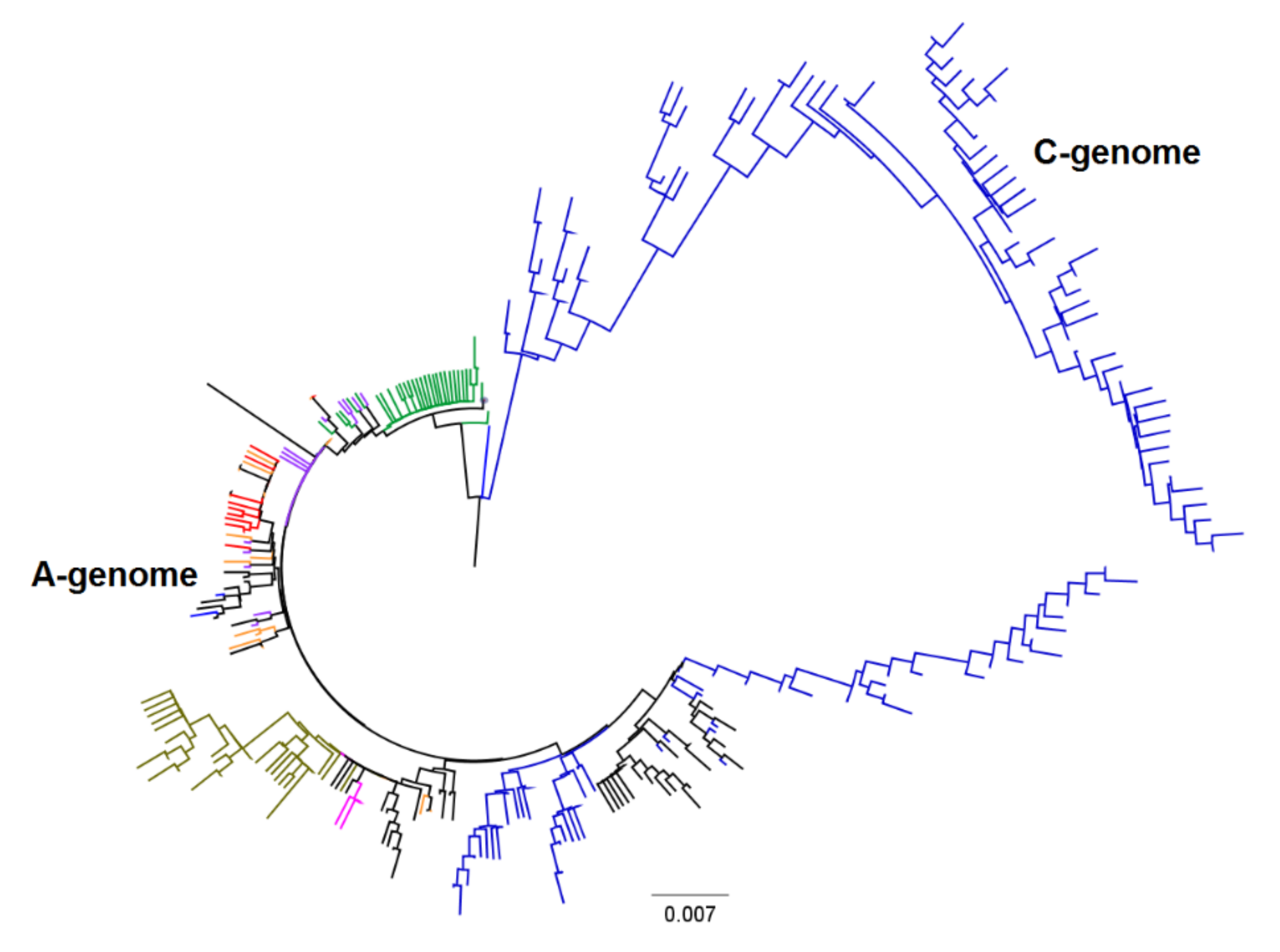 Plants 11 01103 g004