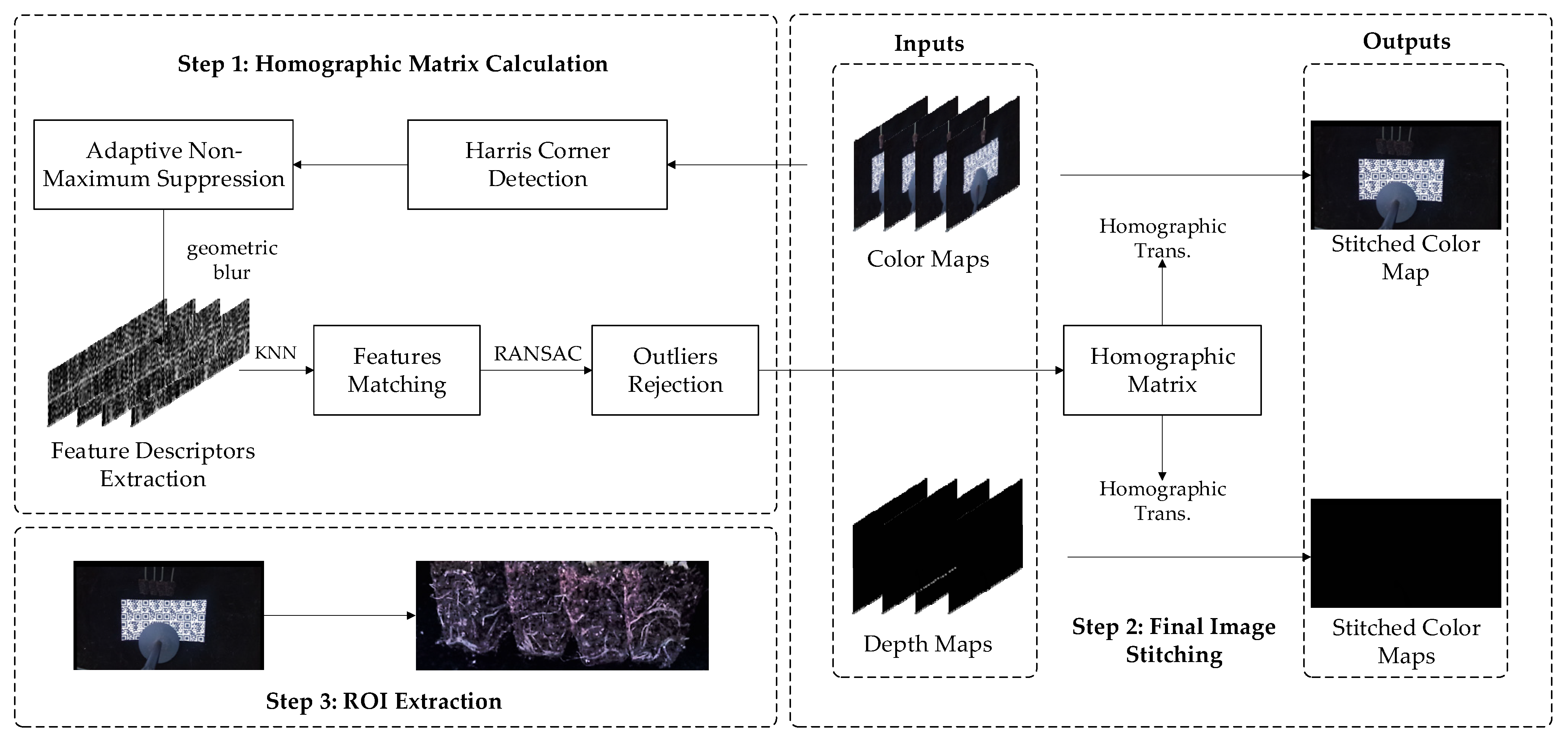 Plants 11 01144 g002