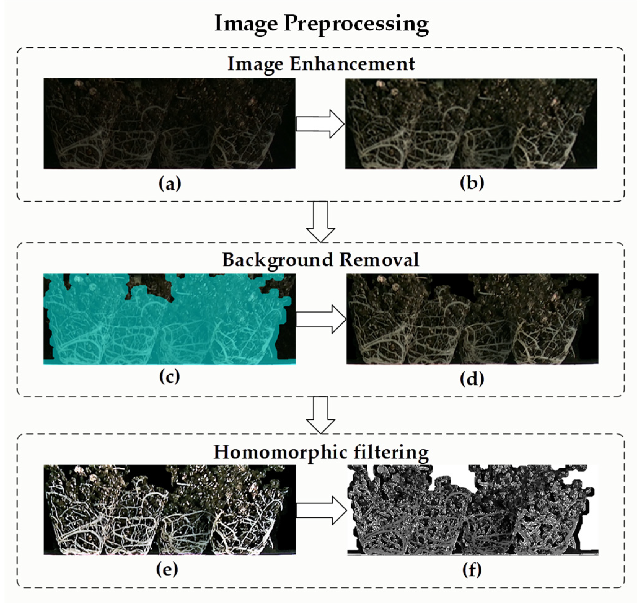 Plants 11 01144 g003