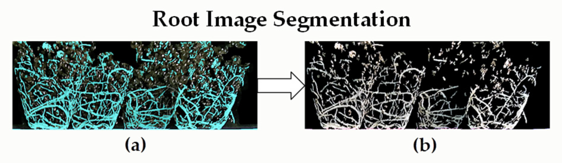 Plants 11 01144 g004