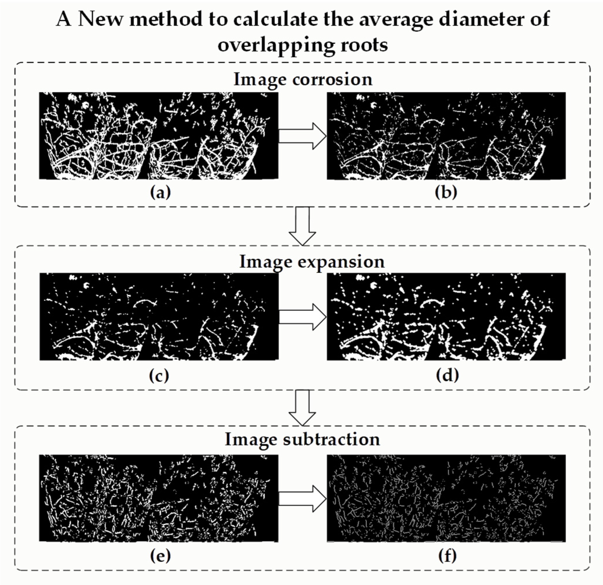 Plants 11 01144 g005