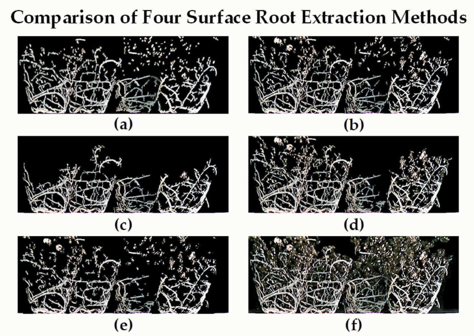 Plants 11 01144 g007