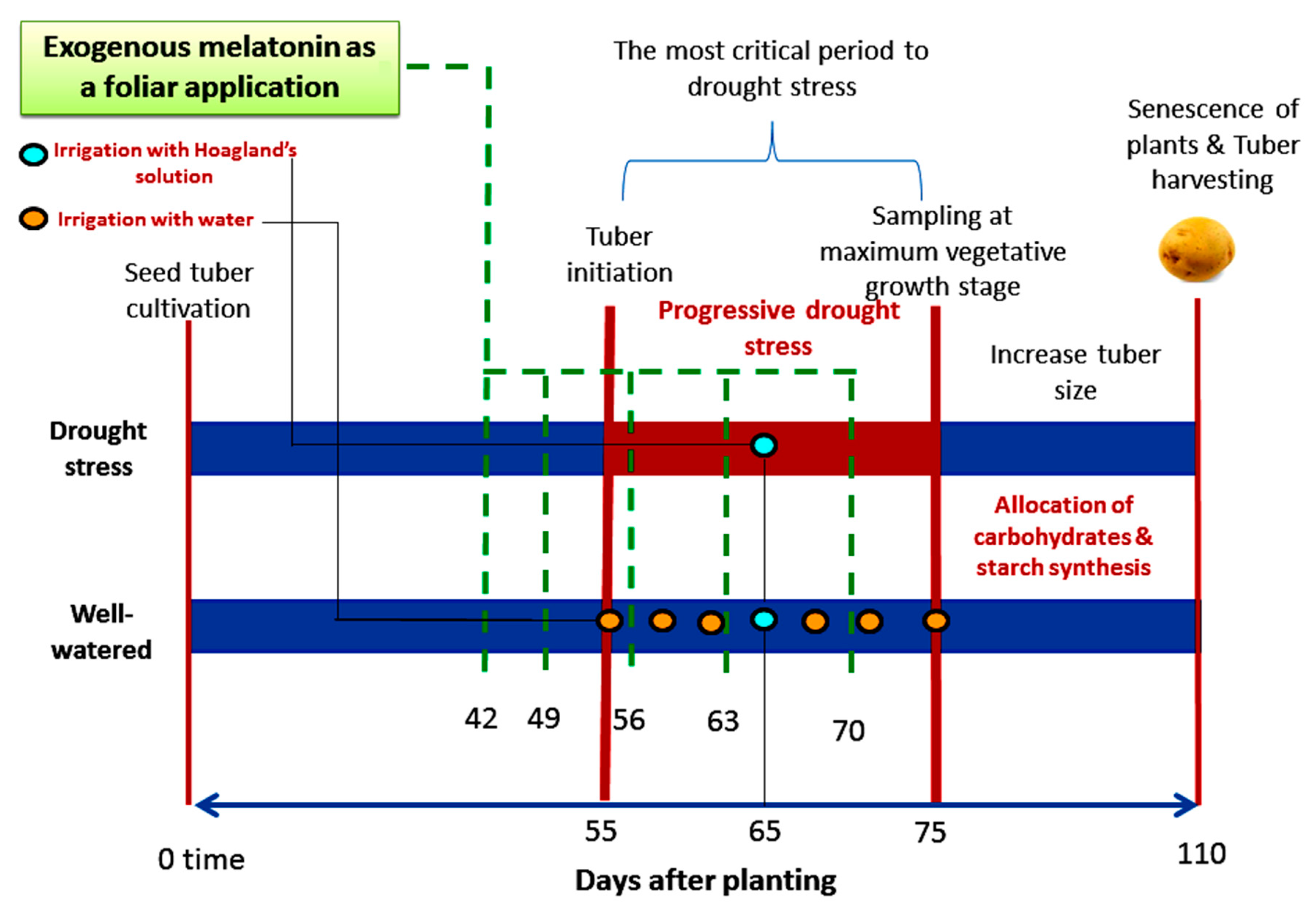 Plants 11 01151 g007