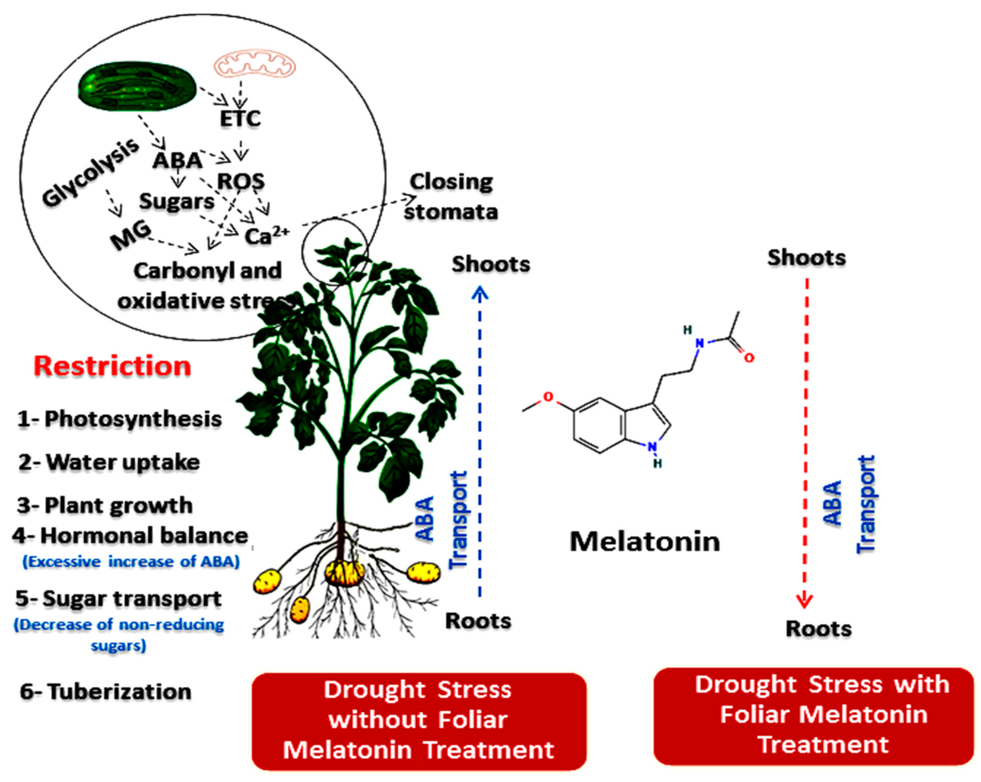 Plants 11 01151 g008